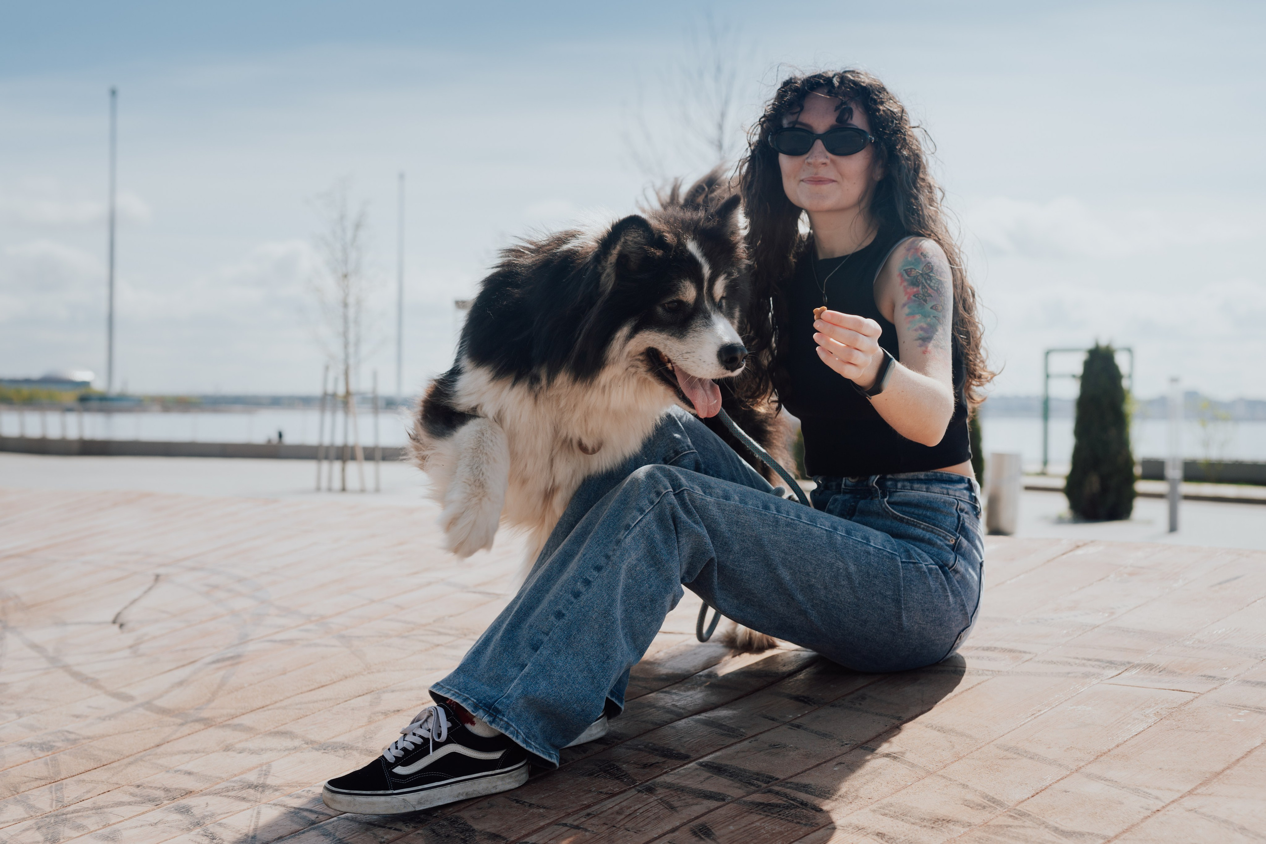 Фотодень с хаски. Фотограф в Санкт-Петербурге и Ленинградской области