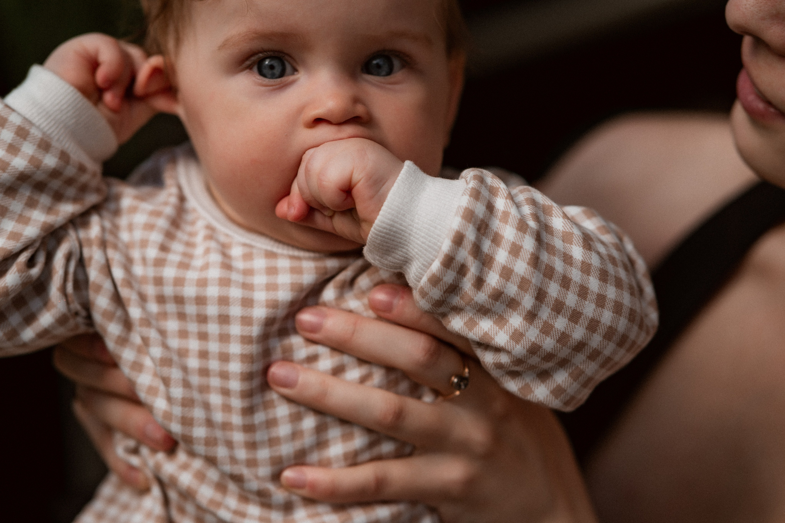Илья, Ирина и Ева в Оранжерее. Семейный и свадебный lifestyle-фотограф в Москве Мария Петрова