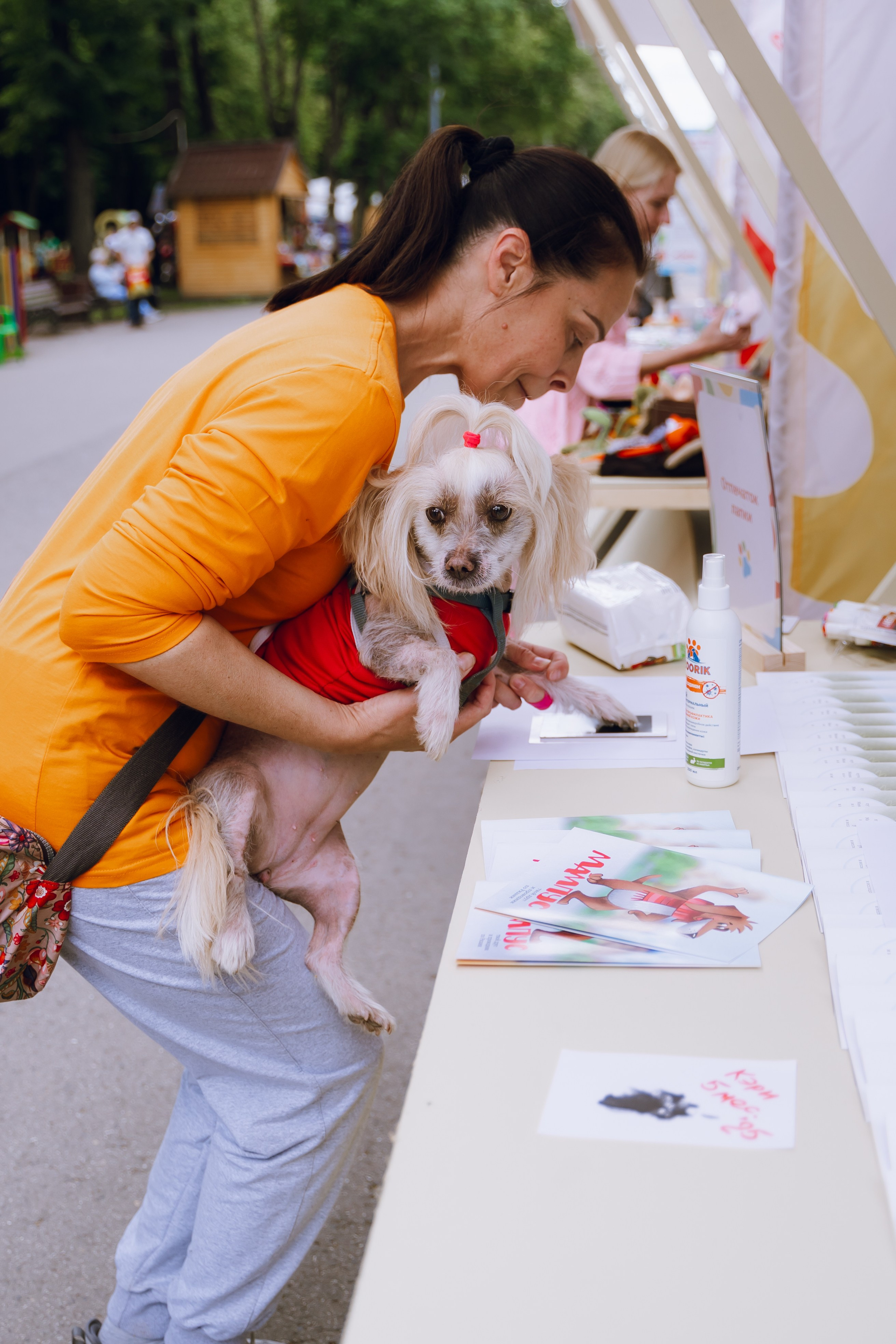 Площадка фестиваля «Мампус и его друзья» в Лесопарке 2025. Фотограф Надежда Погребняк | Рязань | Москва