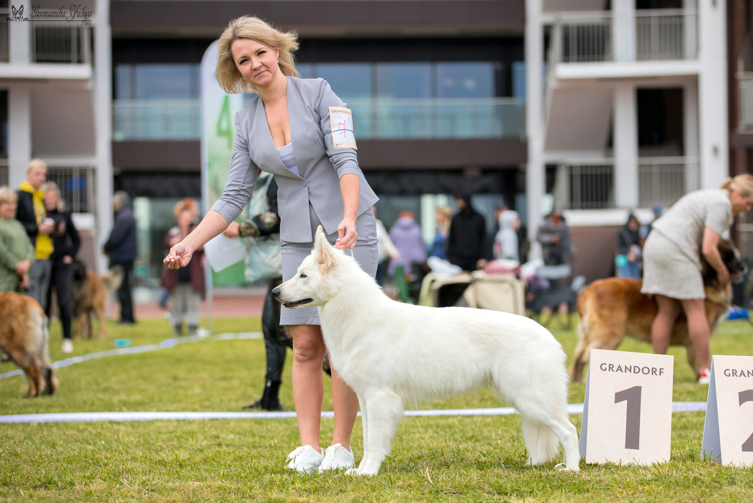 Переславль 9-10.09.2023. Фотограф-анималист Юлия Германика