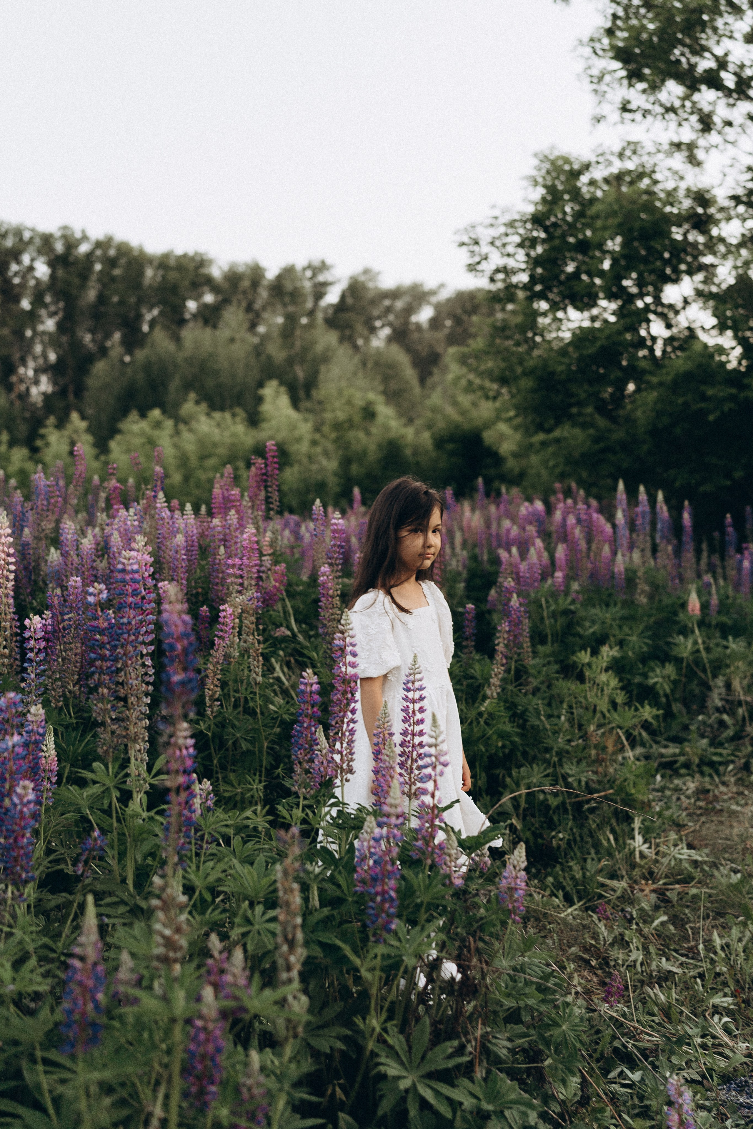А на земле опять цветут люпины. Семейный и домашний фотограф в Уфе Ирина Гарасюта
