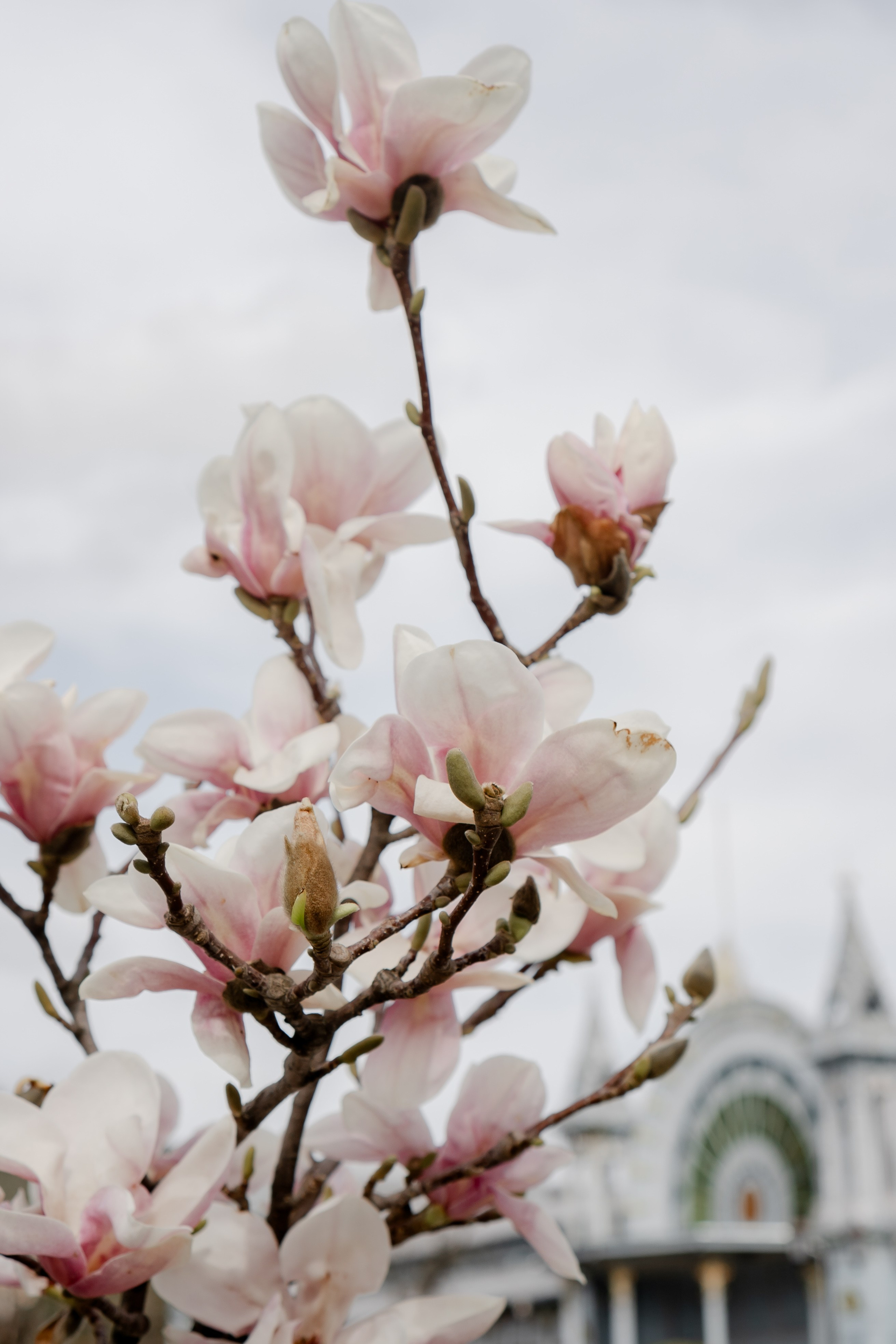 ПЯТИГОРСК. Профессиональный фотограф, Санкт-Петербург — Виктория Богомолова