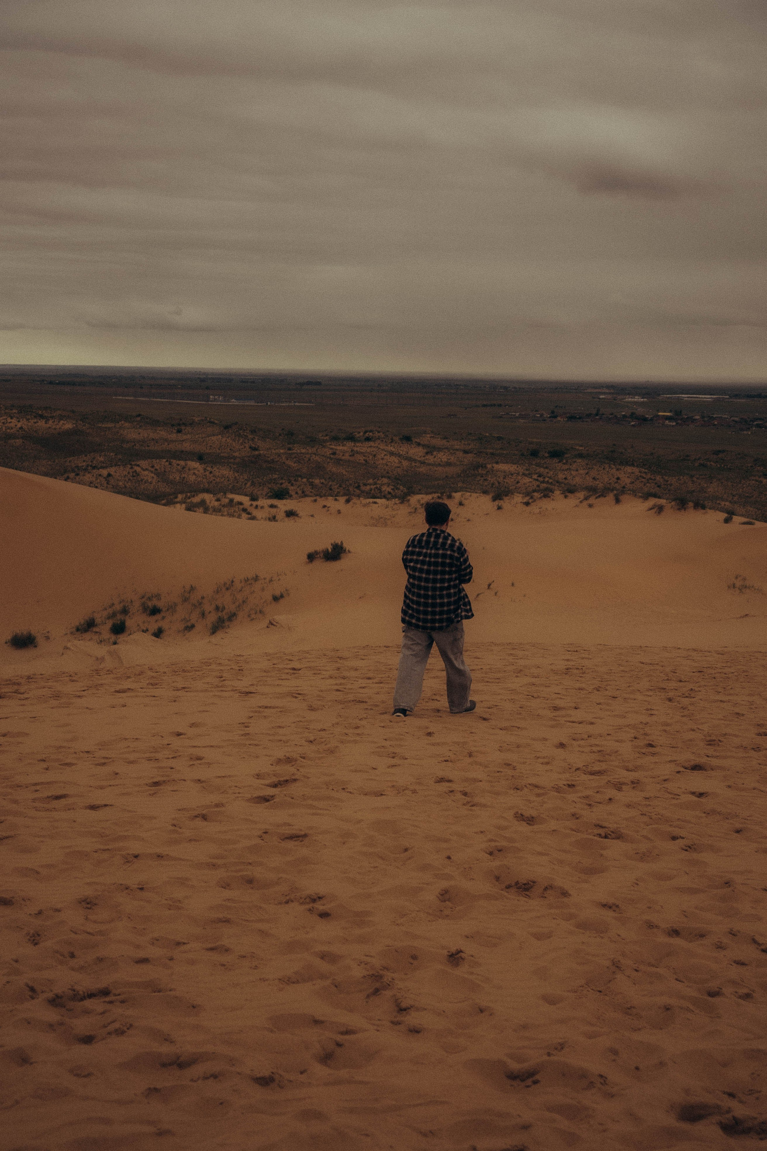 Барханы. Профессиональный фотограф, Санкт-Петербург — Виктория Богомолова