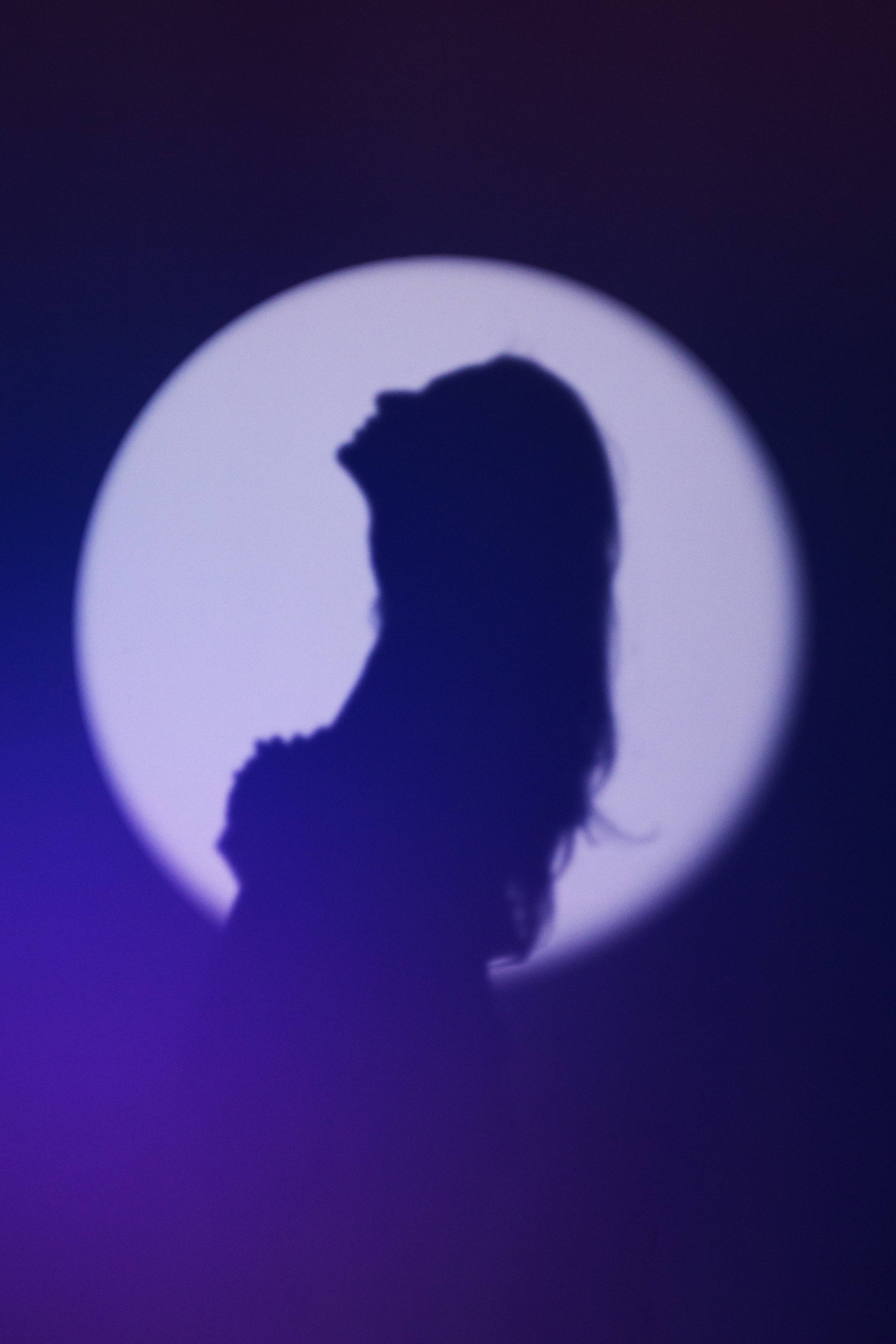 Алина. Фотограф Козлова Светлана