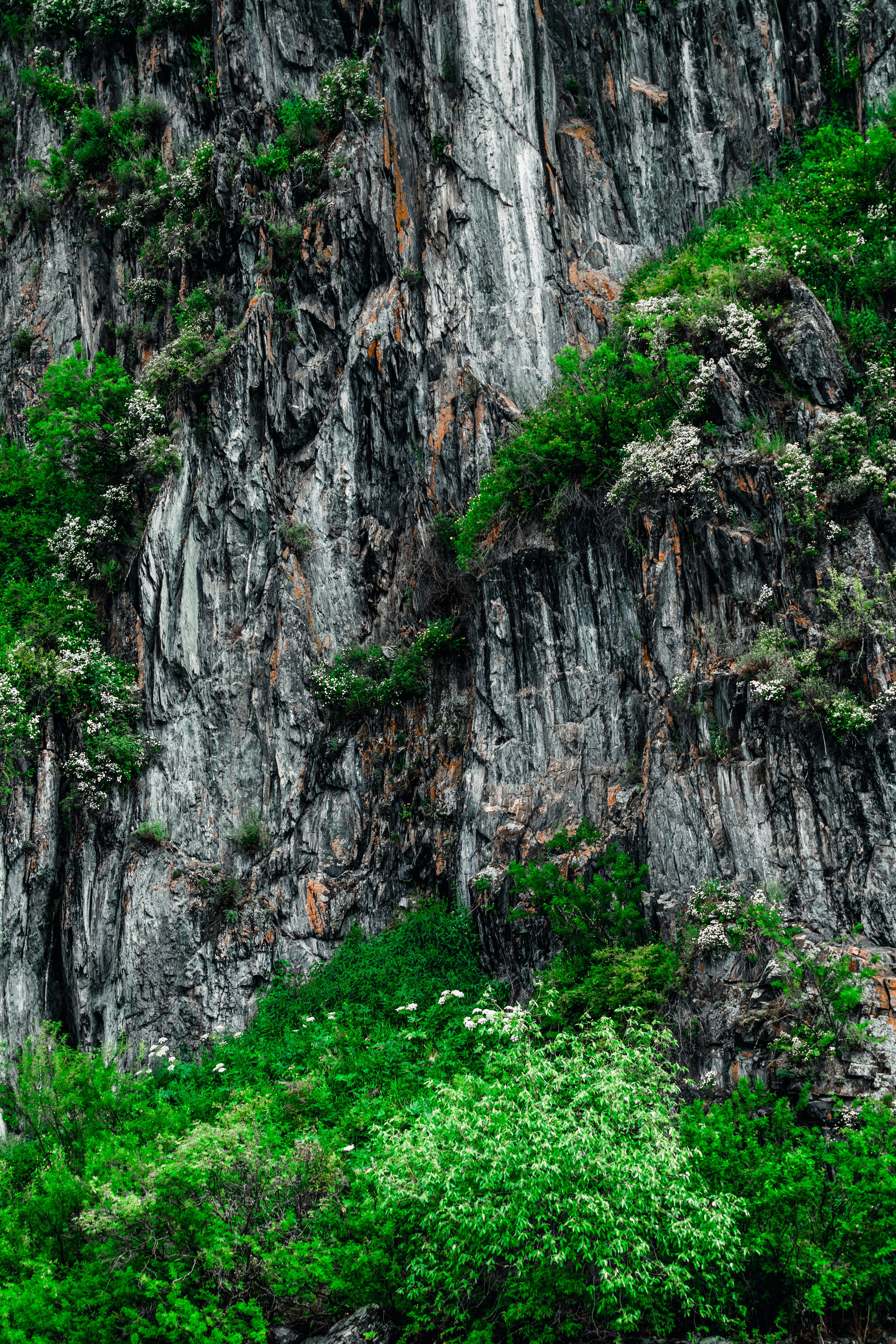 Алтай. Оператор и Фотограф в Санкт-Петербурге и Москве