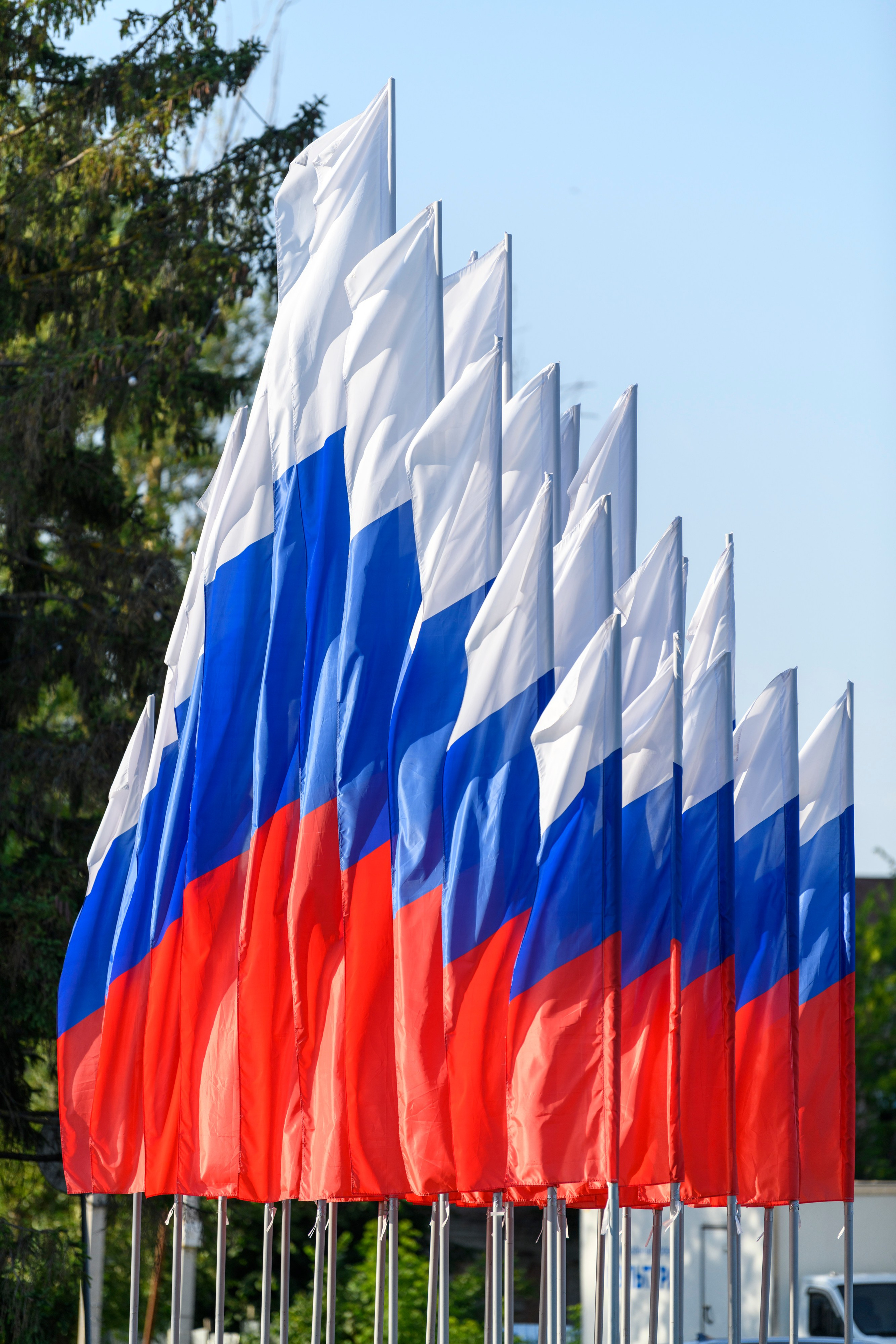 Переславль-Залесский. Wildlife photography by Sergey Puponin