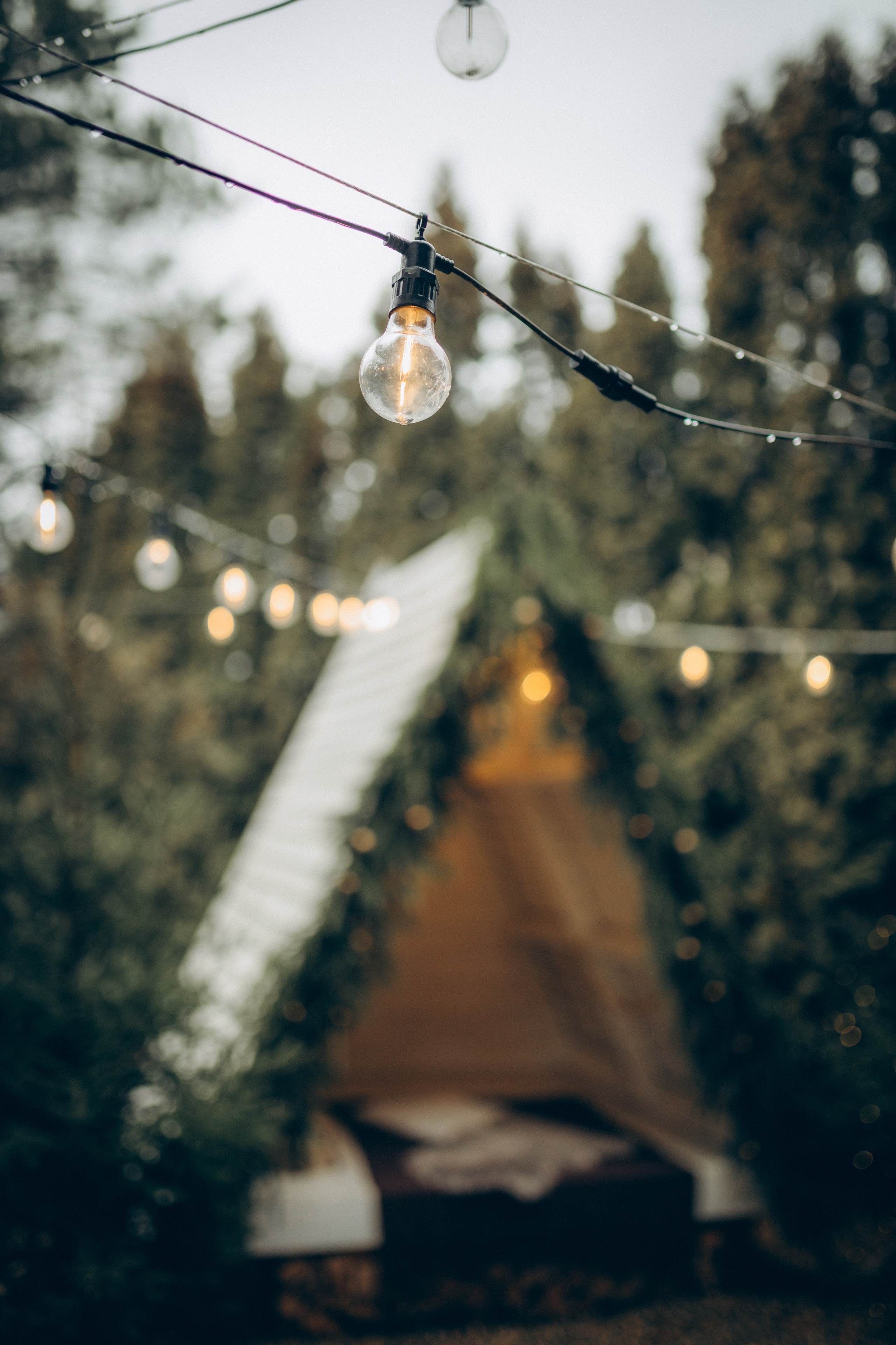 New Year's family story. Семейный фотограф и фотограф на роды в Ростове-на-Дону Мухина Виктория