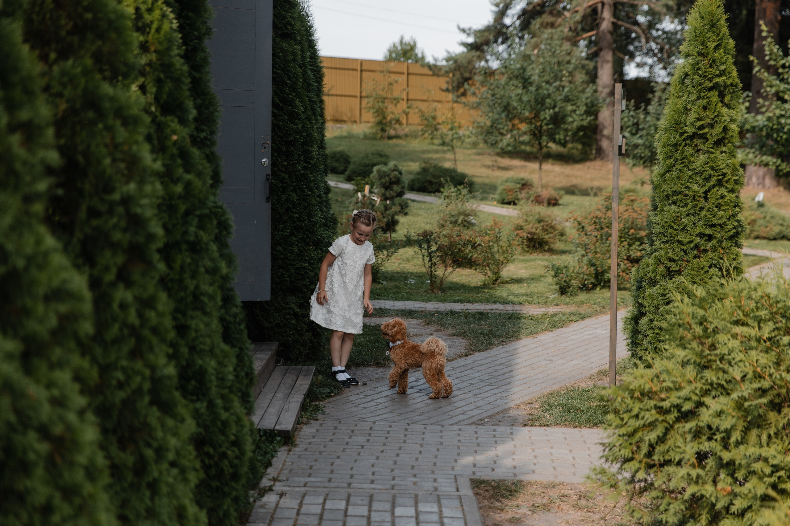 Свадьба с любимой собакой. Свадебный организатор в Москве и Санкт-Петербурге Пергаева Ольга