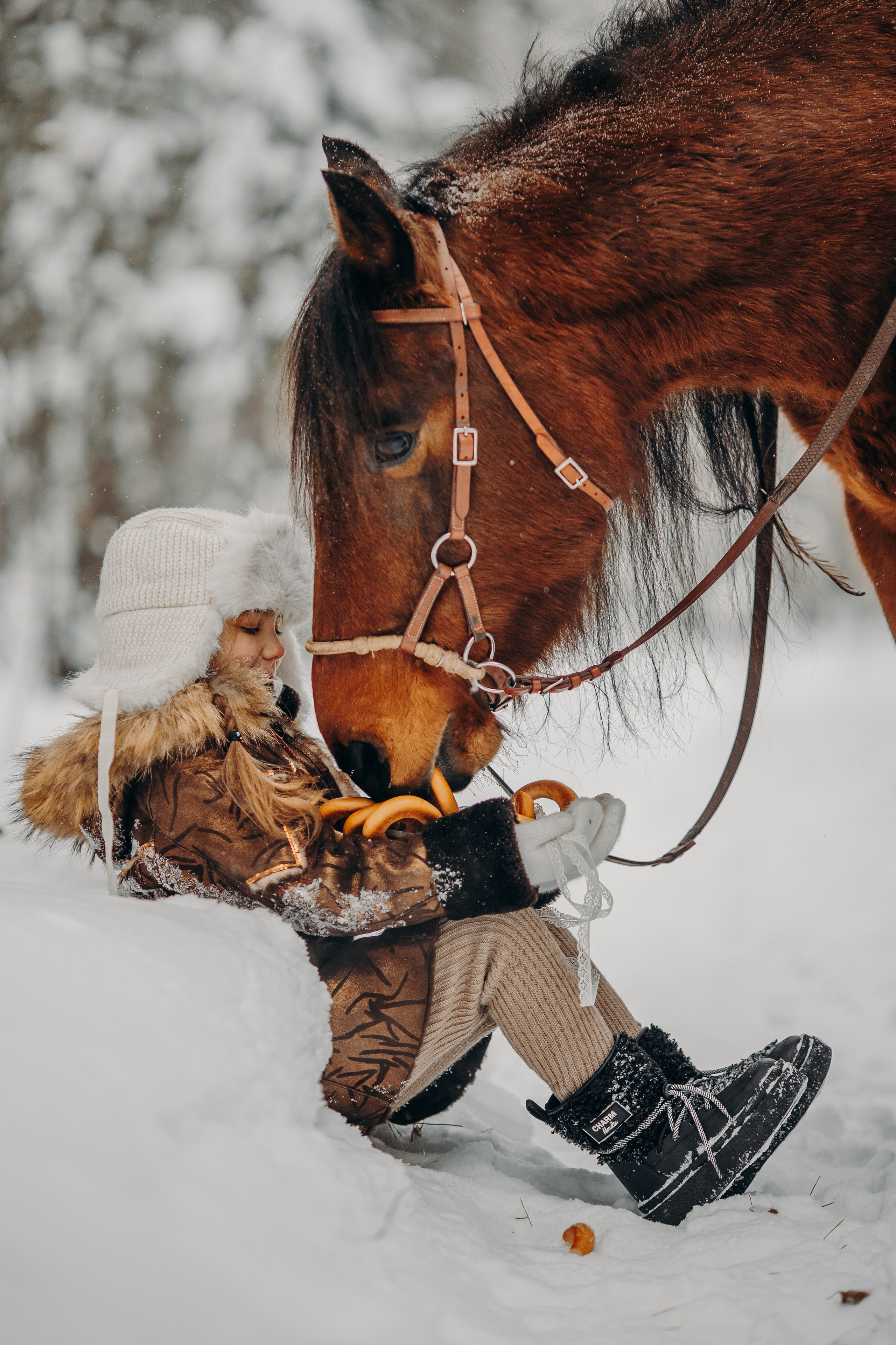 Тоша и баранки. Анна Молчанова конный фотограф в Тюмени | фотосессии с лошадьми Тюмень