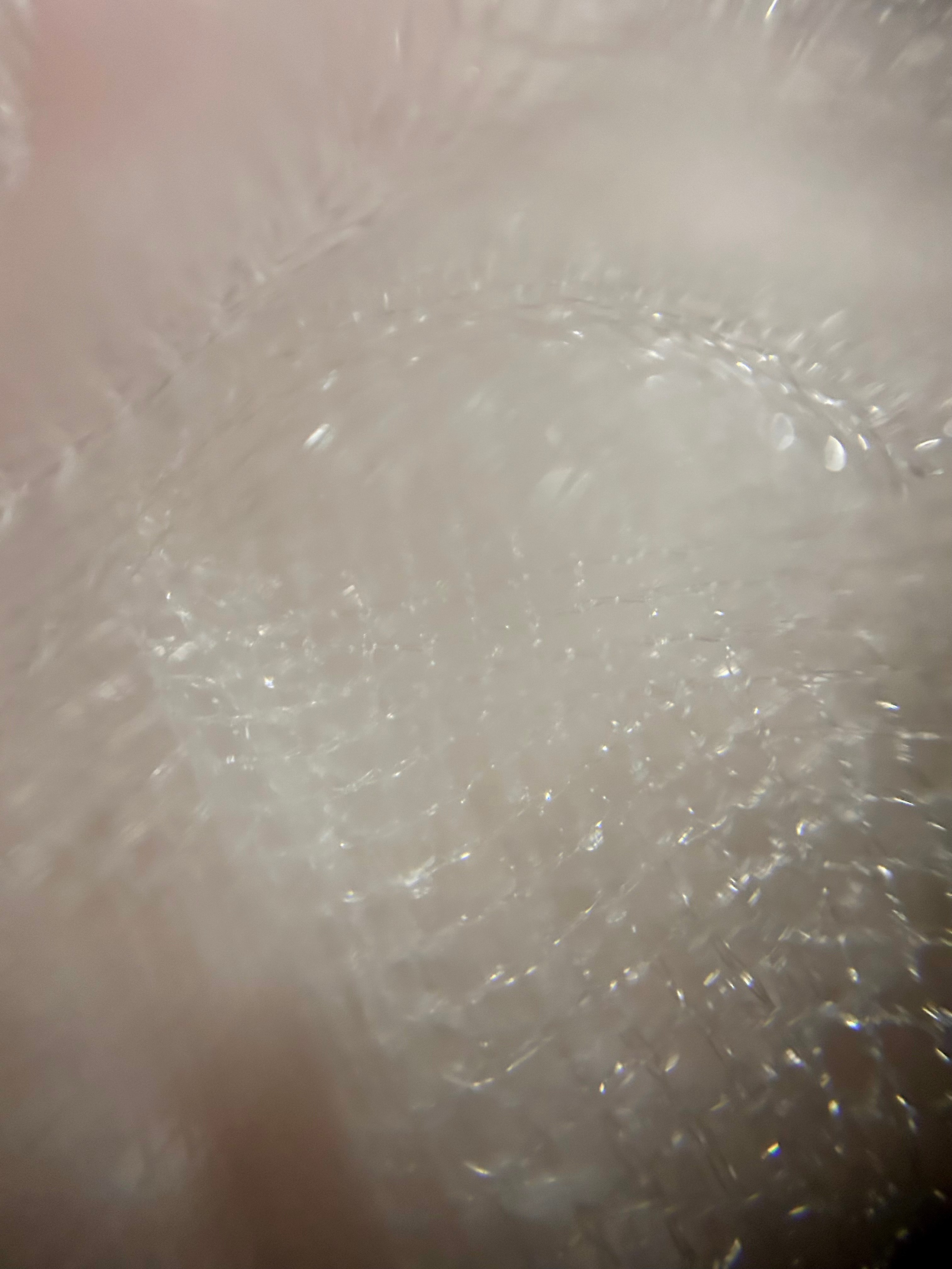 Макромир. Фотокружок «Видоискатель» ГБОУ СОШ № 291