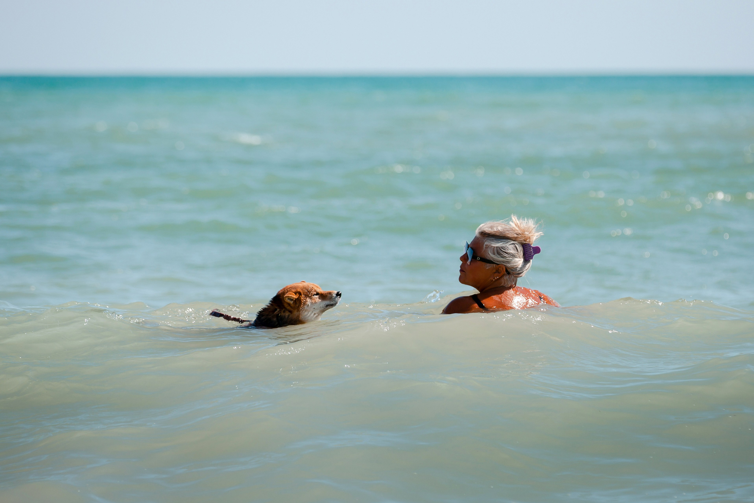 Фотосессия «Человек и собака». Фотограф-анималист в Краснодаре Маша Мельникова