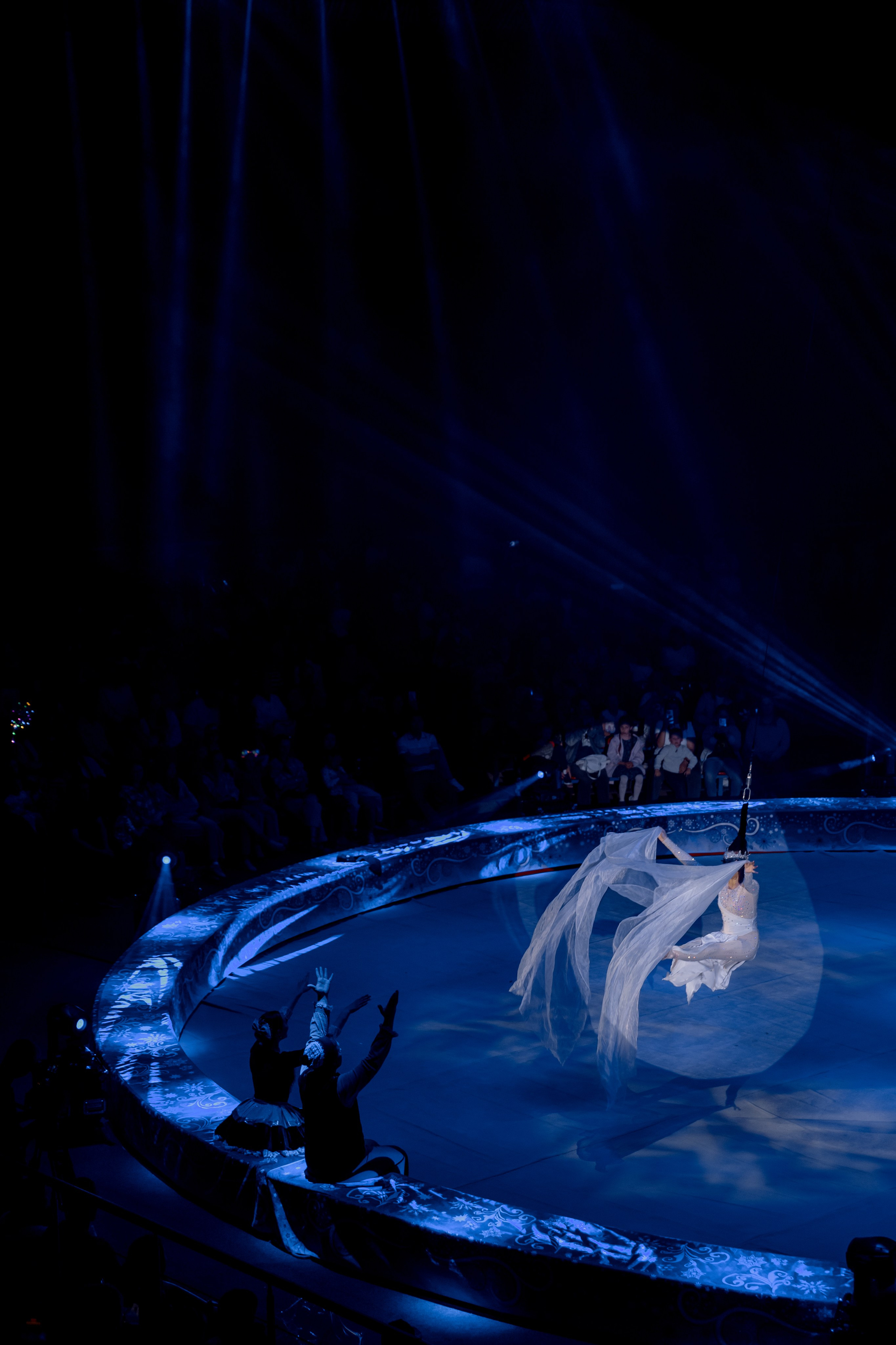 Цирк Moretti в Иркутске. Свадебный фотограф Иркутск, репортажный фотограф Иркутск