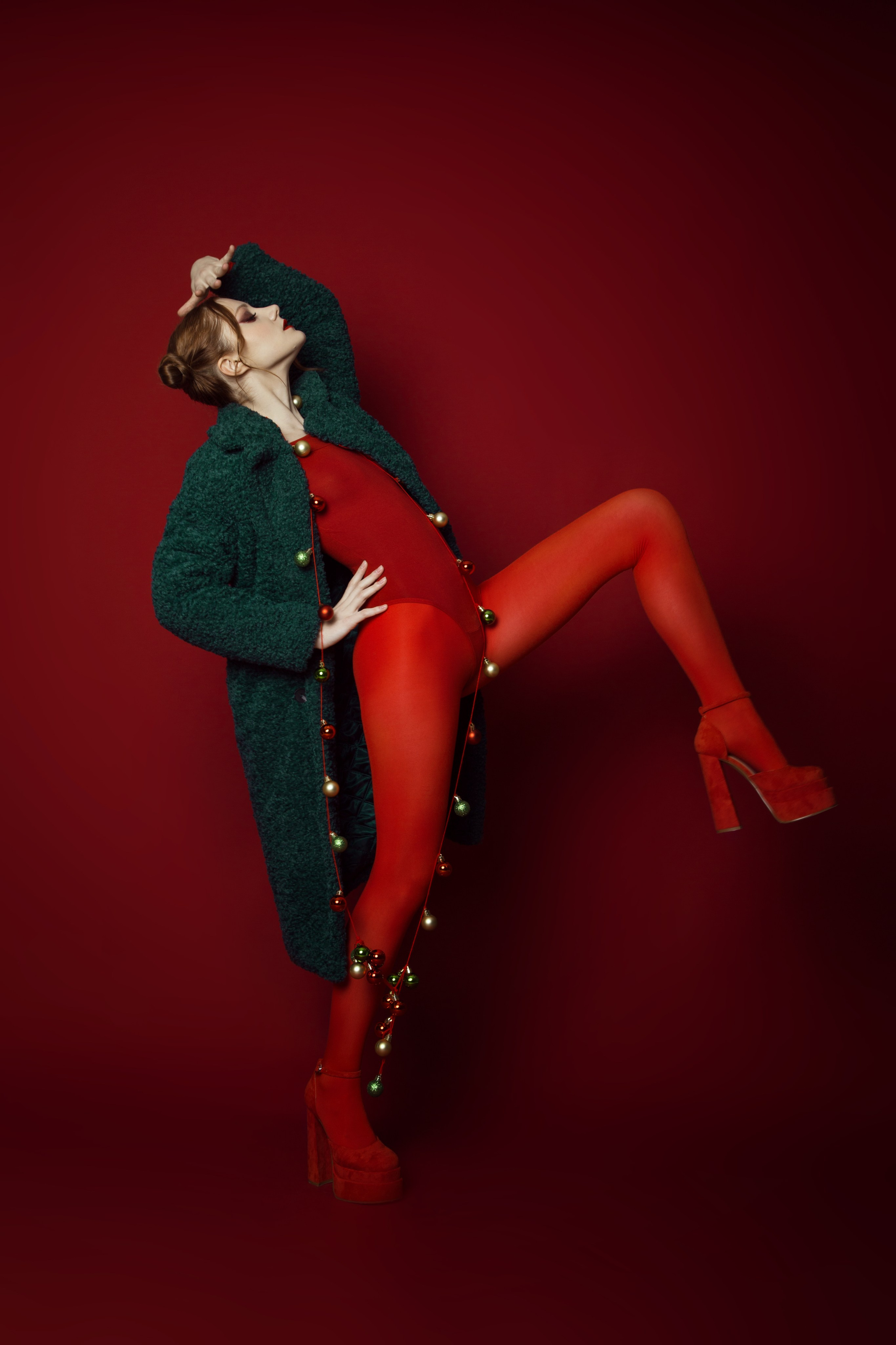 Новогодние. Фотограф Юля Шифельбаен г. Рязань