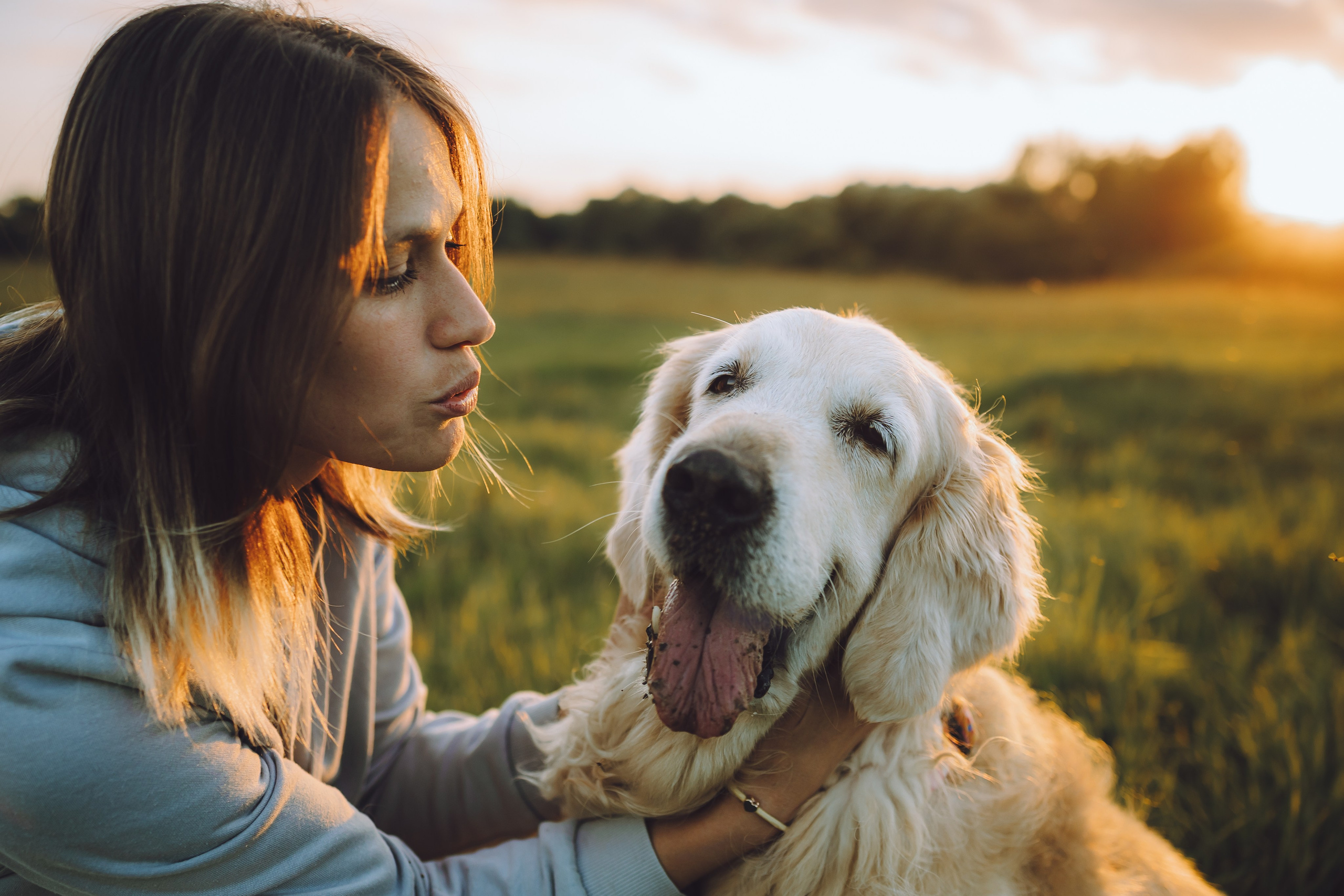 Выездной дог-тренинг от школы «Шерсть имею», Тованово