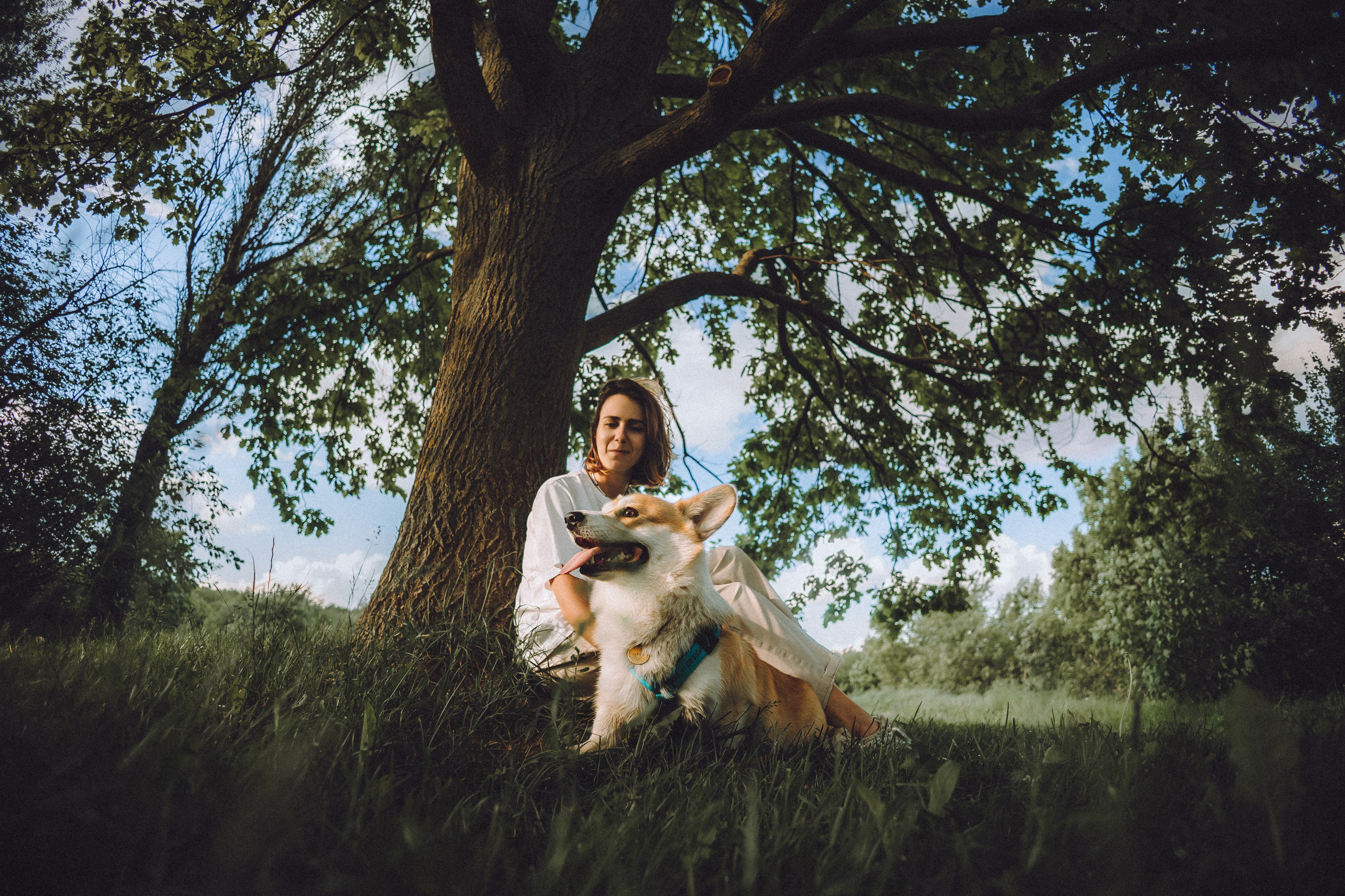 Вирджик и его семья