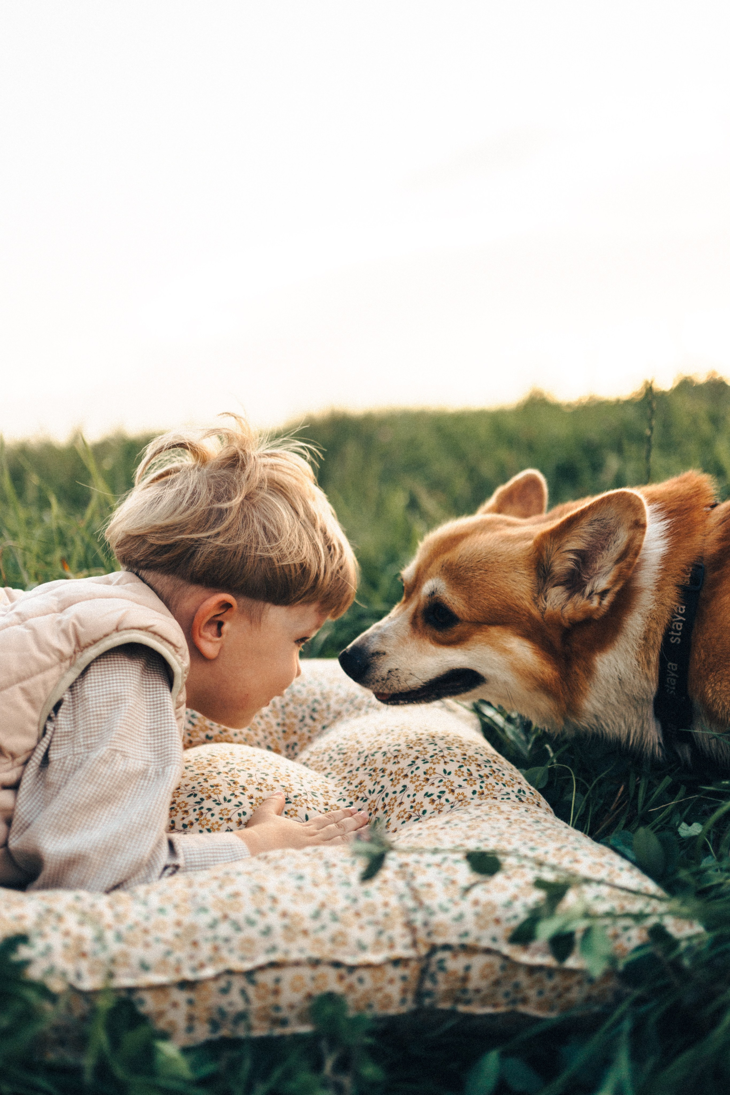 Дерево жизни. Семейный и детский фотограф и видеограф в Москве, Серпухове и Тарусе Валерия Сорокина