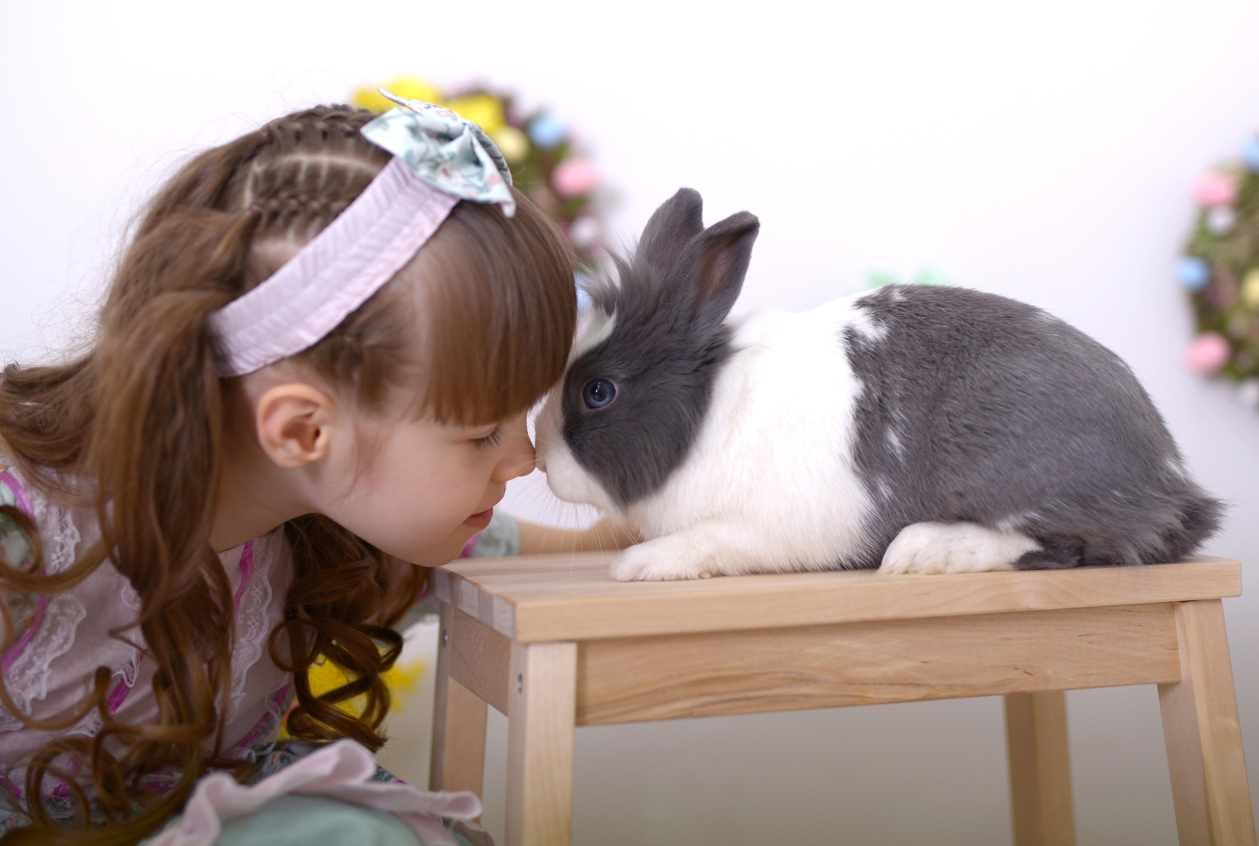 Та самая Фотостудия Тверь