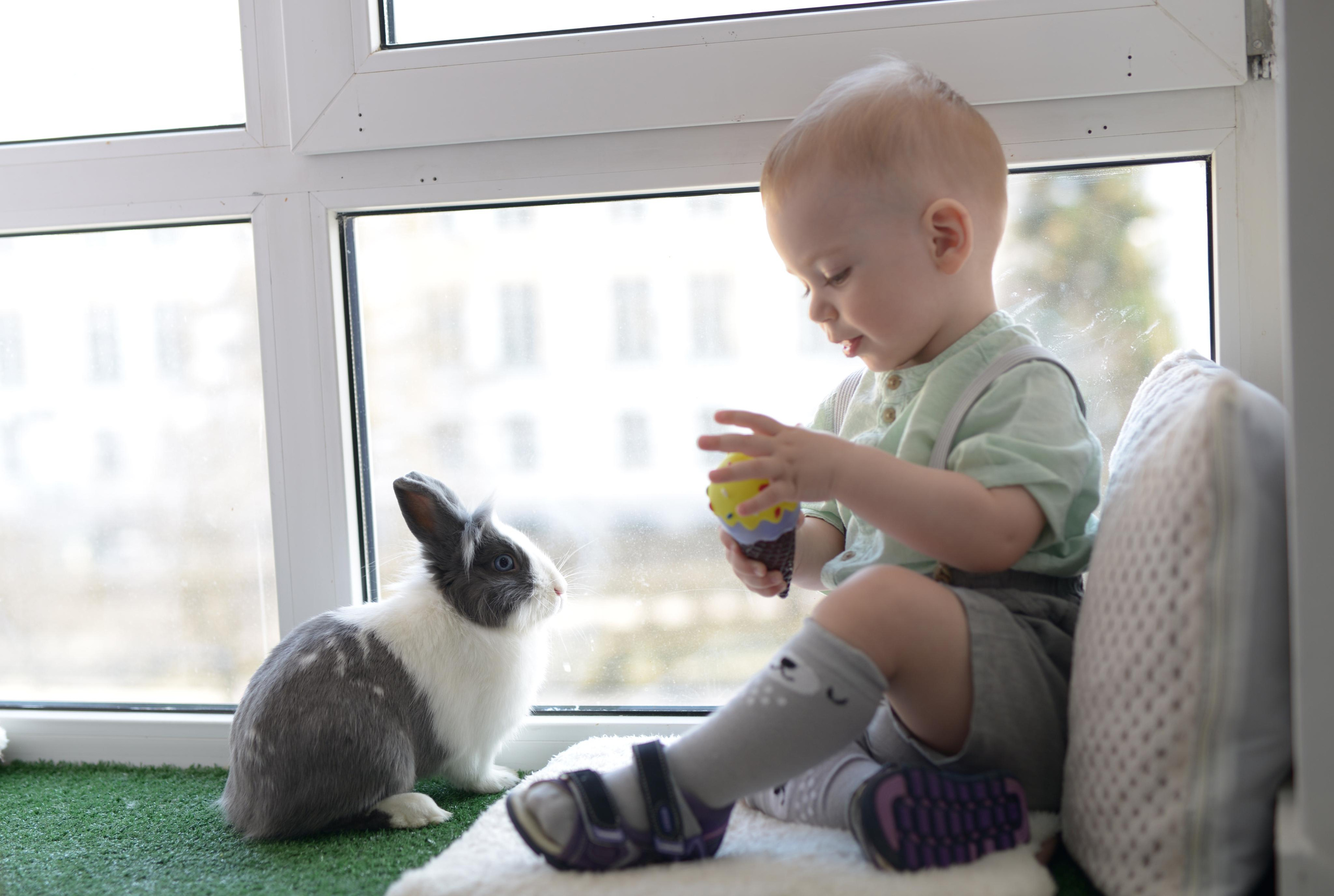 Та самая Фотостудия Тверь