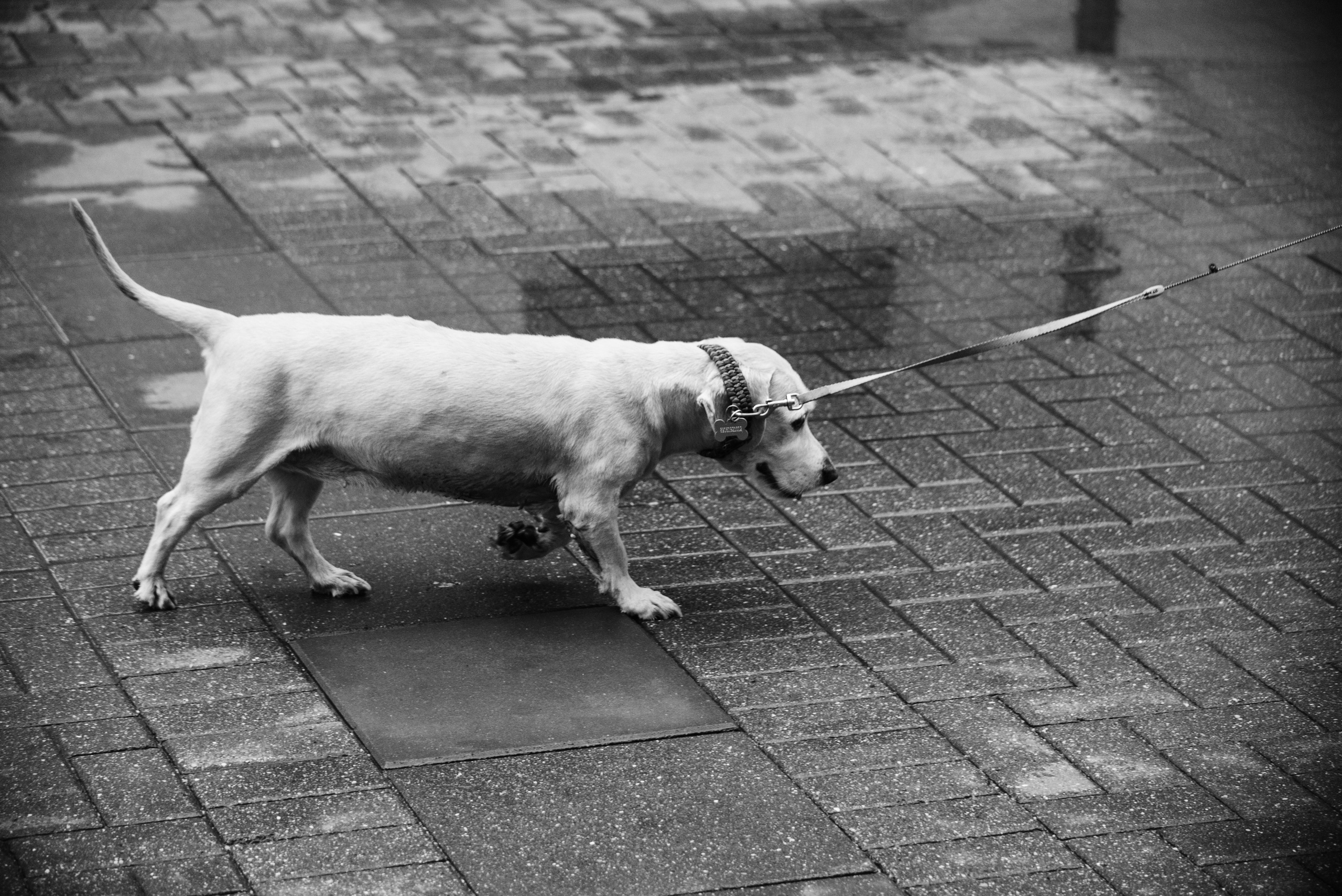 Лица Столицы. Главная