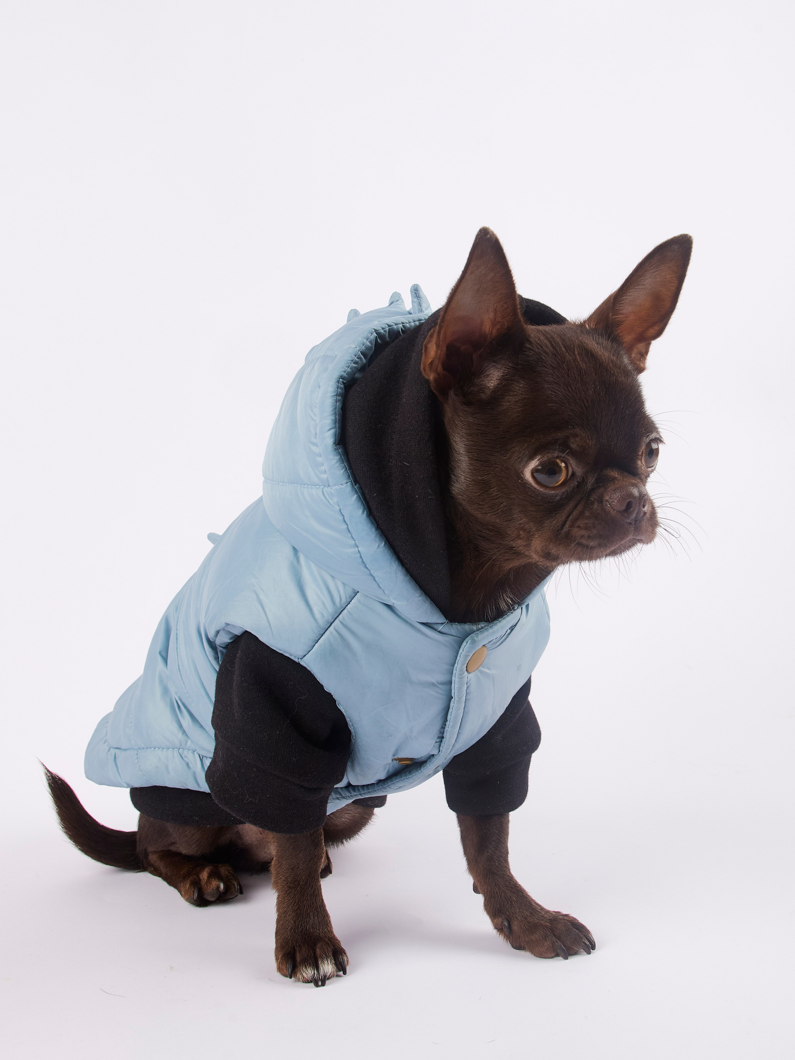 Чих Шпрот. Предметный и семейный фотограф в Санкт-Петербурге Катерина Стеклова