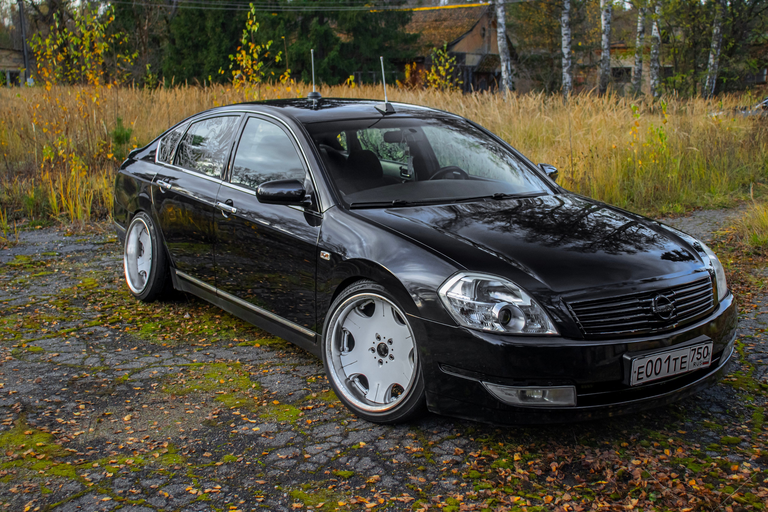 Kia ceed & Nissan Teana J31