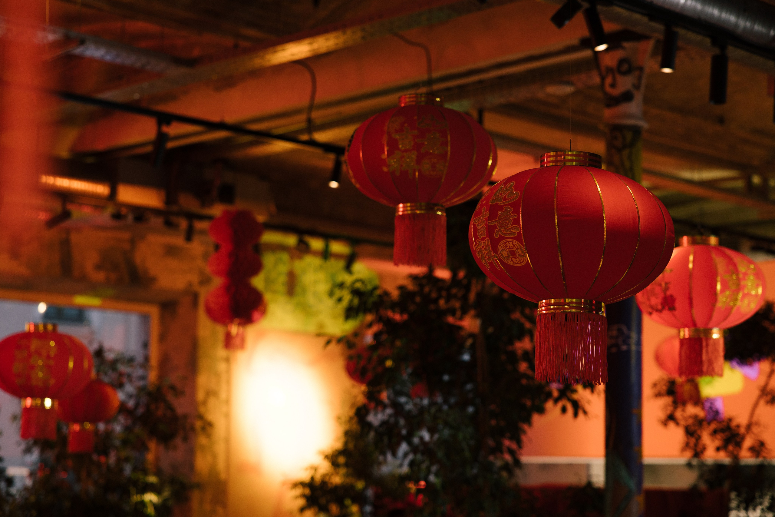 AliExpress / Китайский Новый год. Фотограф Юлия Назарова