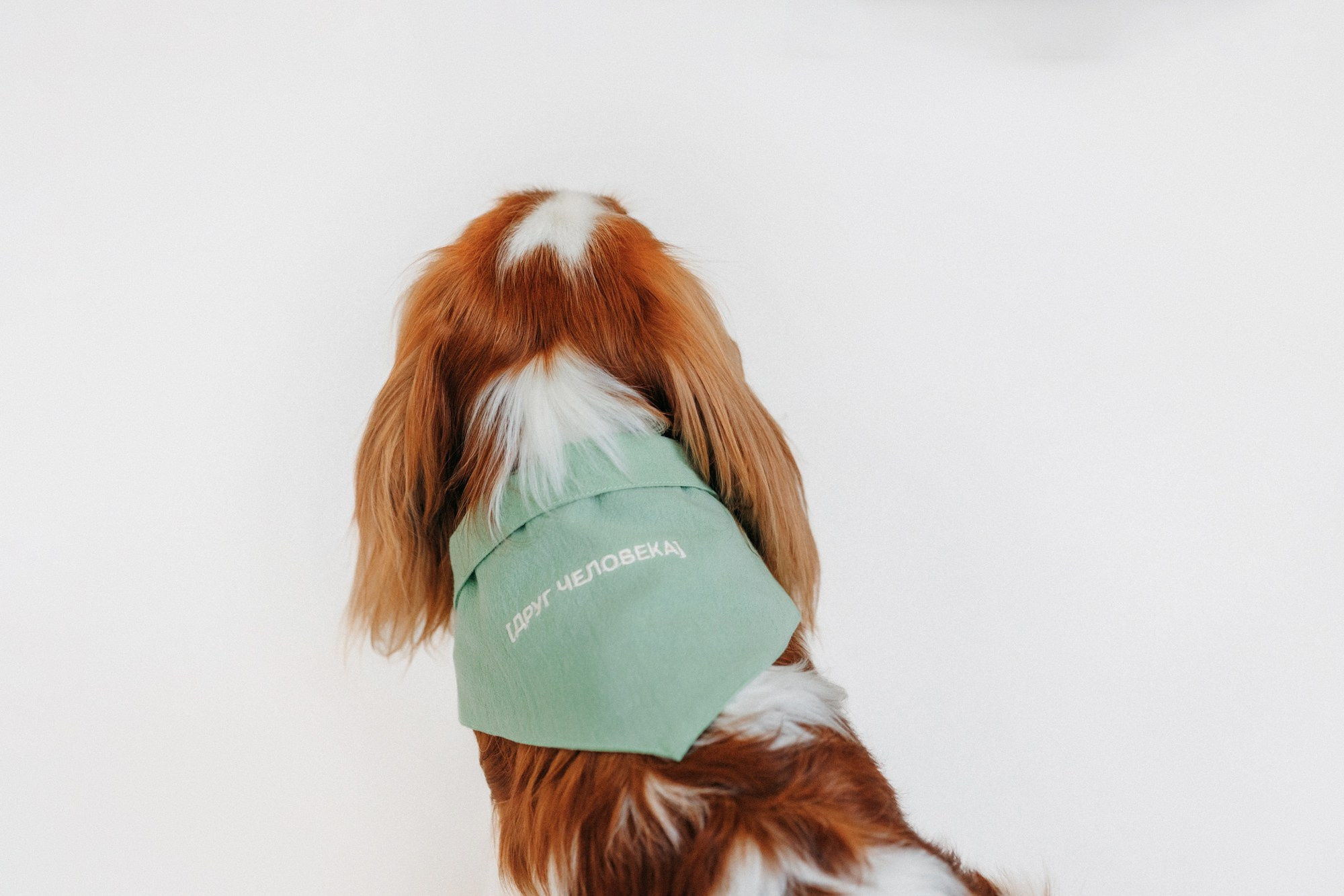 Одежда Lapa`s brand. Фотограф-анималист Елена Радченко, Москва