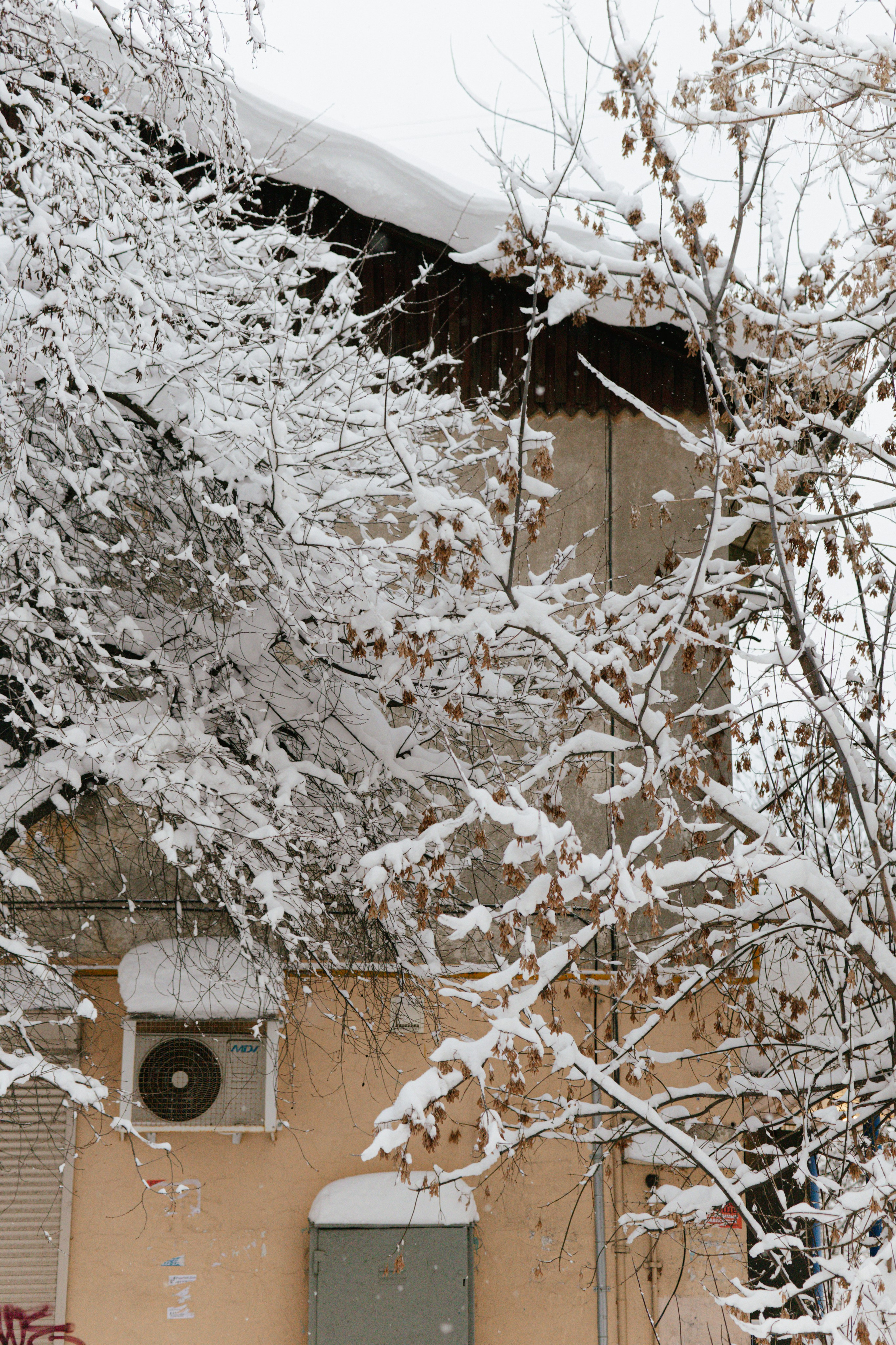 Город зимой. Фотограф Эльмира Лин