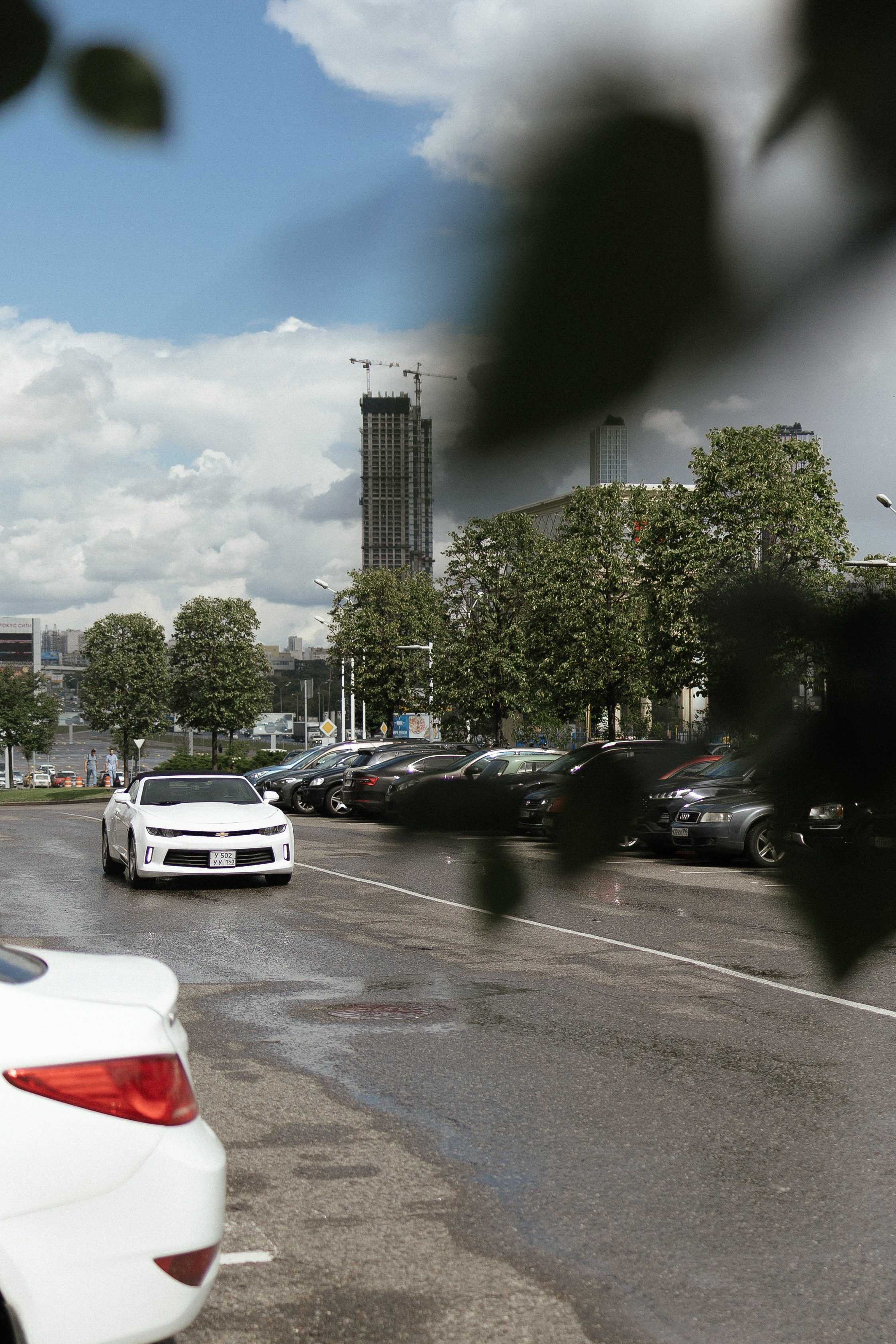 Маша и Ваня. Портретный фотограф Арсения Теплова