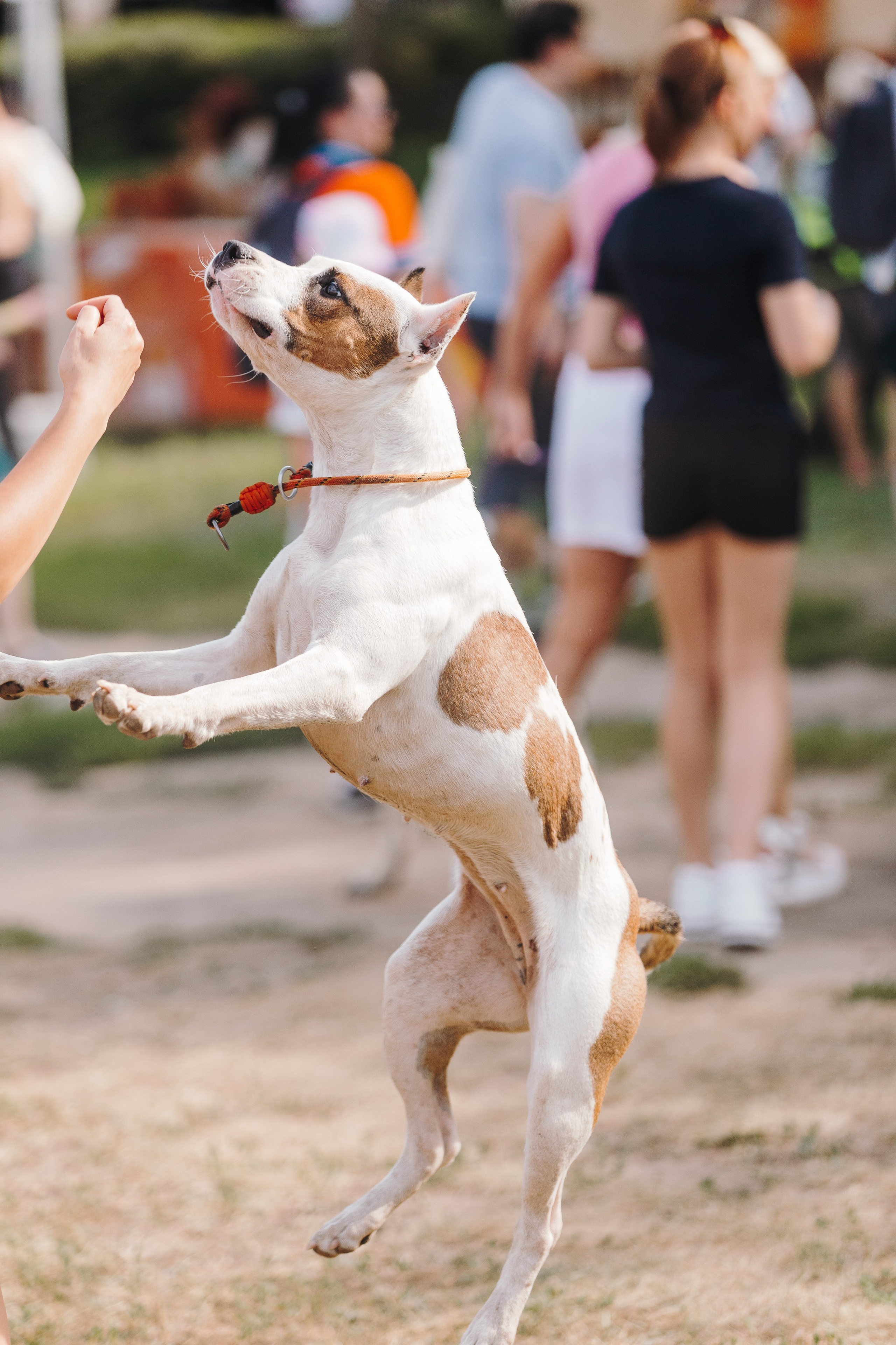 Petshop Sup day. Фотограф анималист Кристина Карпова, Москва