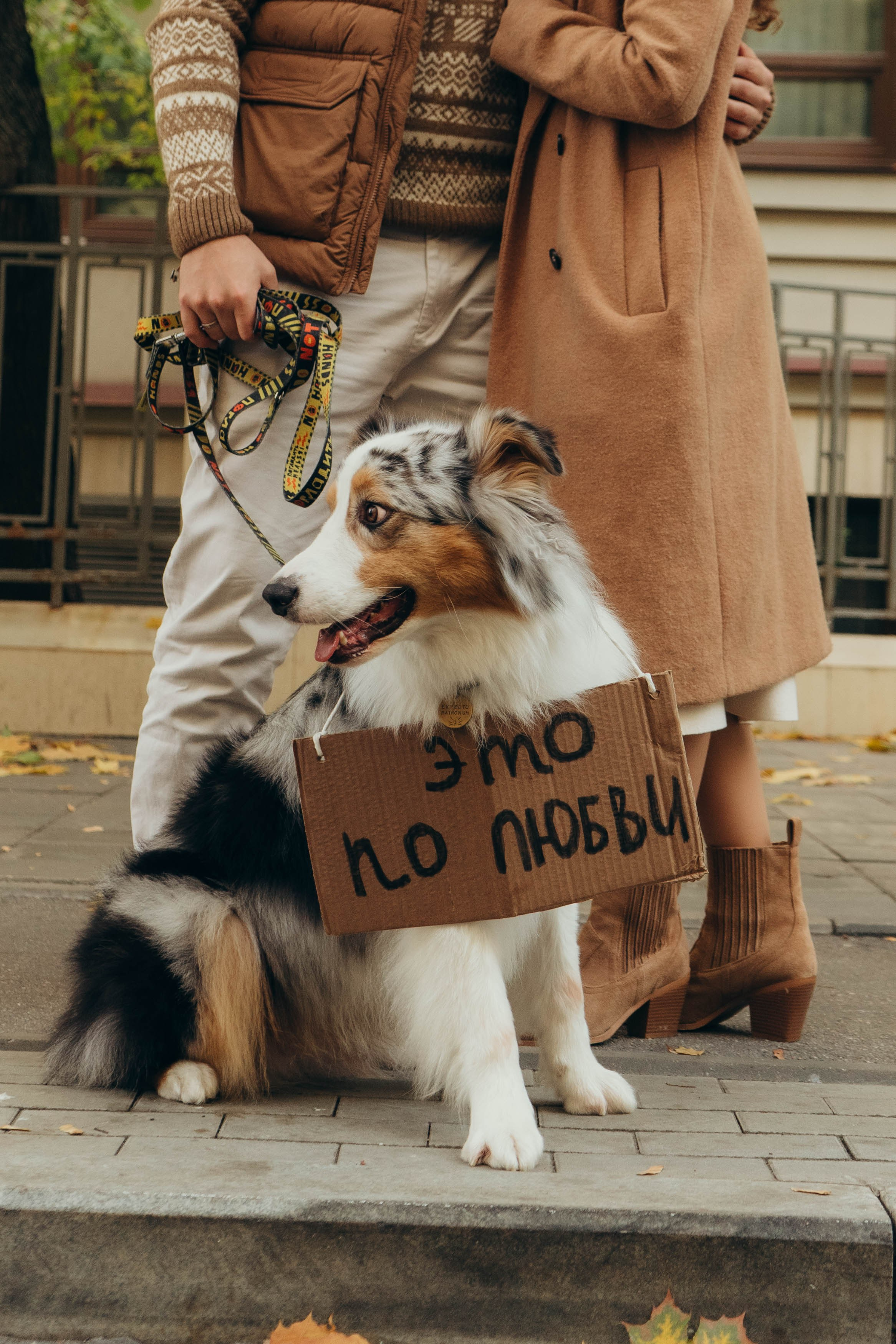Аня, Влад и Джонни