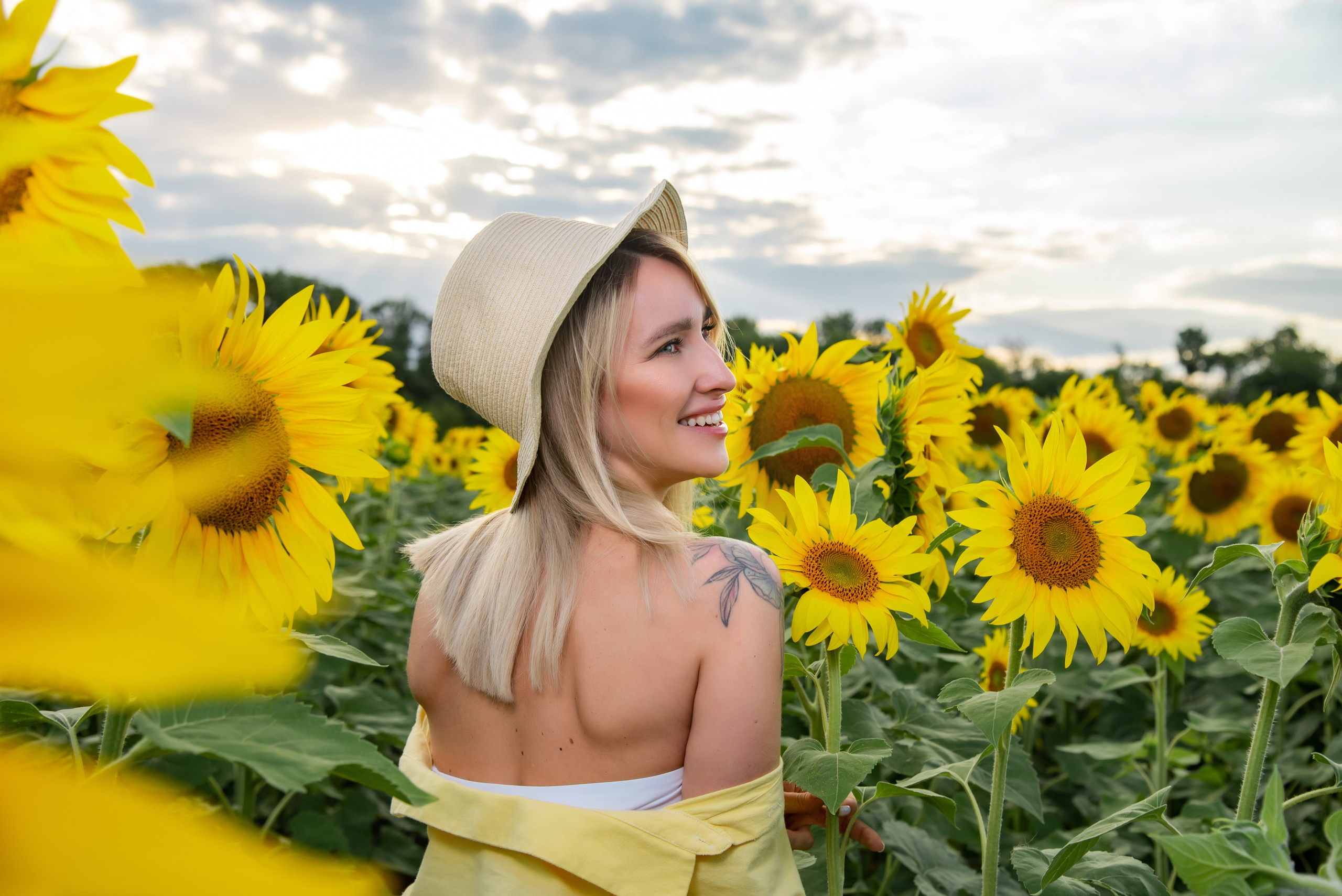 Подсолнух. Фотограф Галина Нестерова