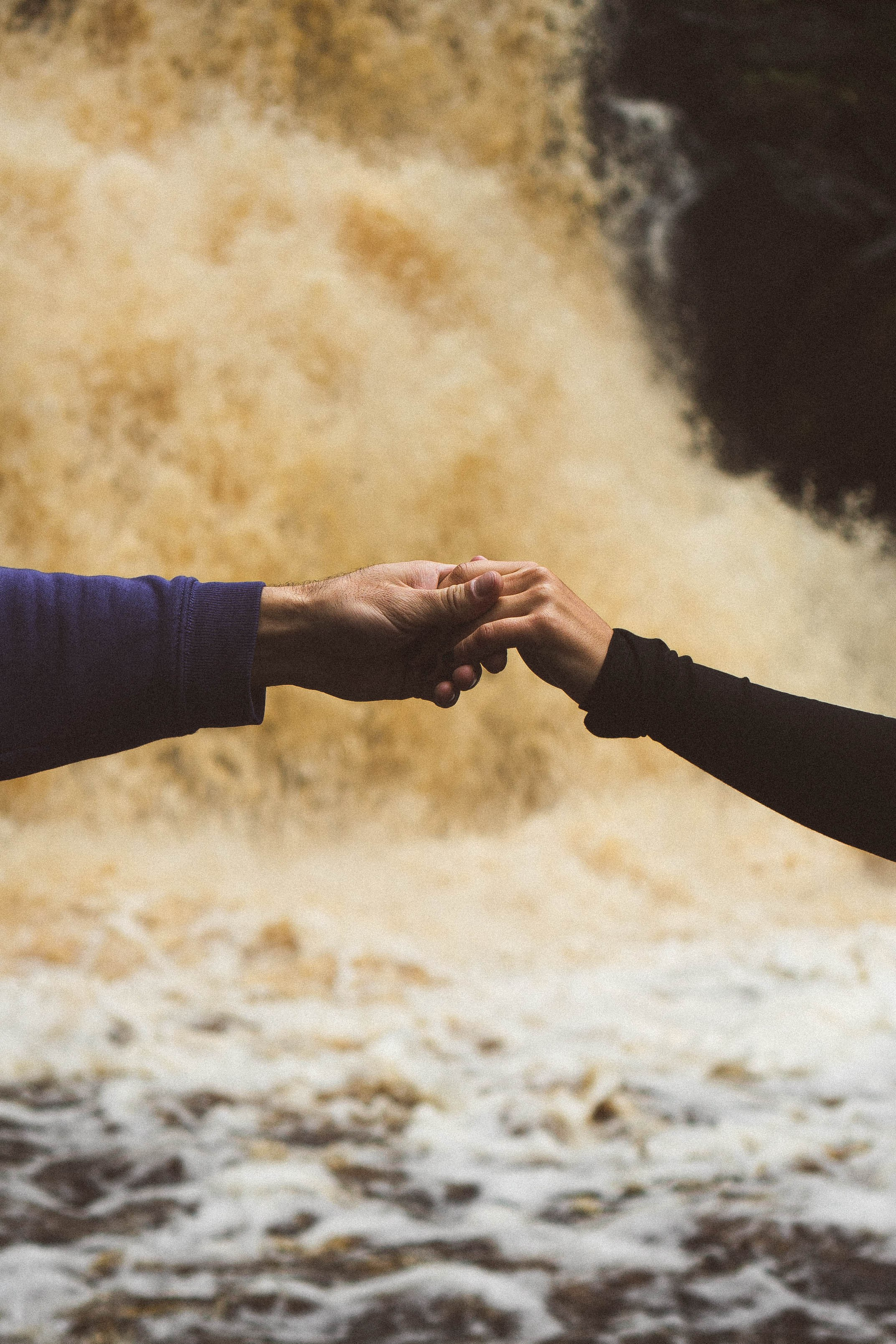 Прогулка на природе. Профессиональный фотограф, Санкт-Петербург — Виктория Богомолова