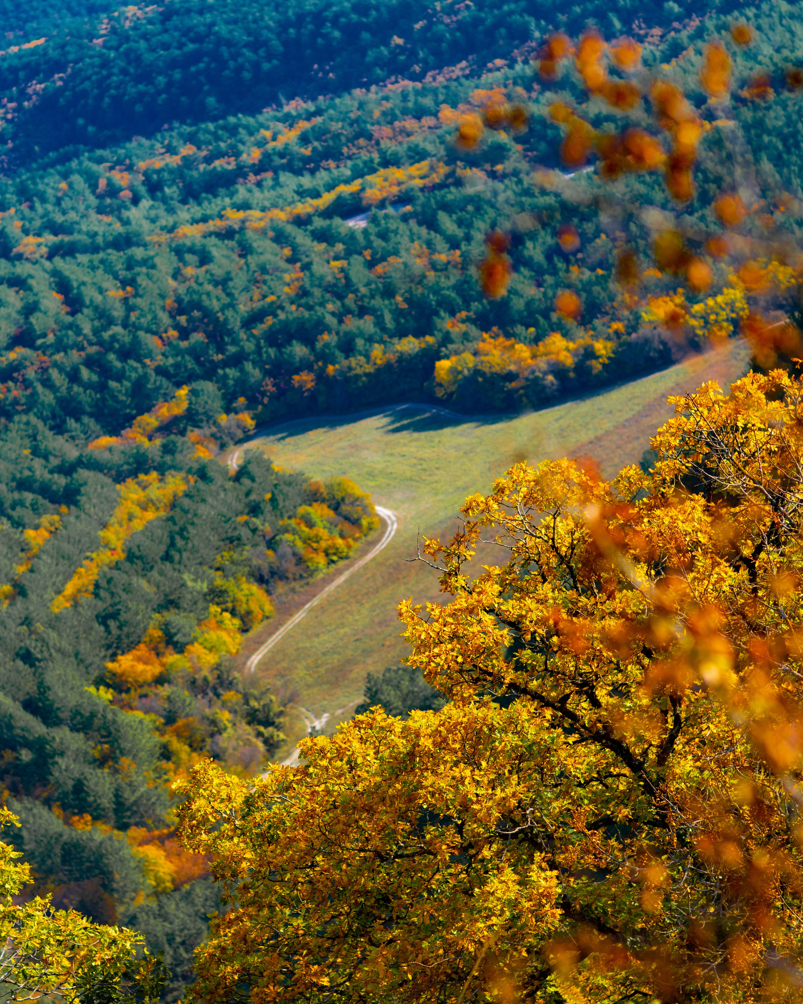 ШУЛДАН. Фотограф Севастополь/Крым Светлана Евтушенко