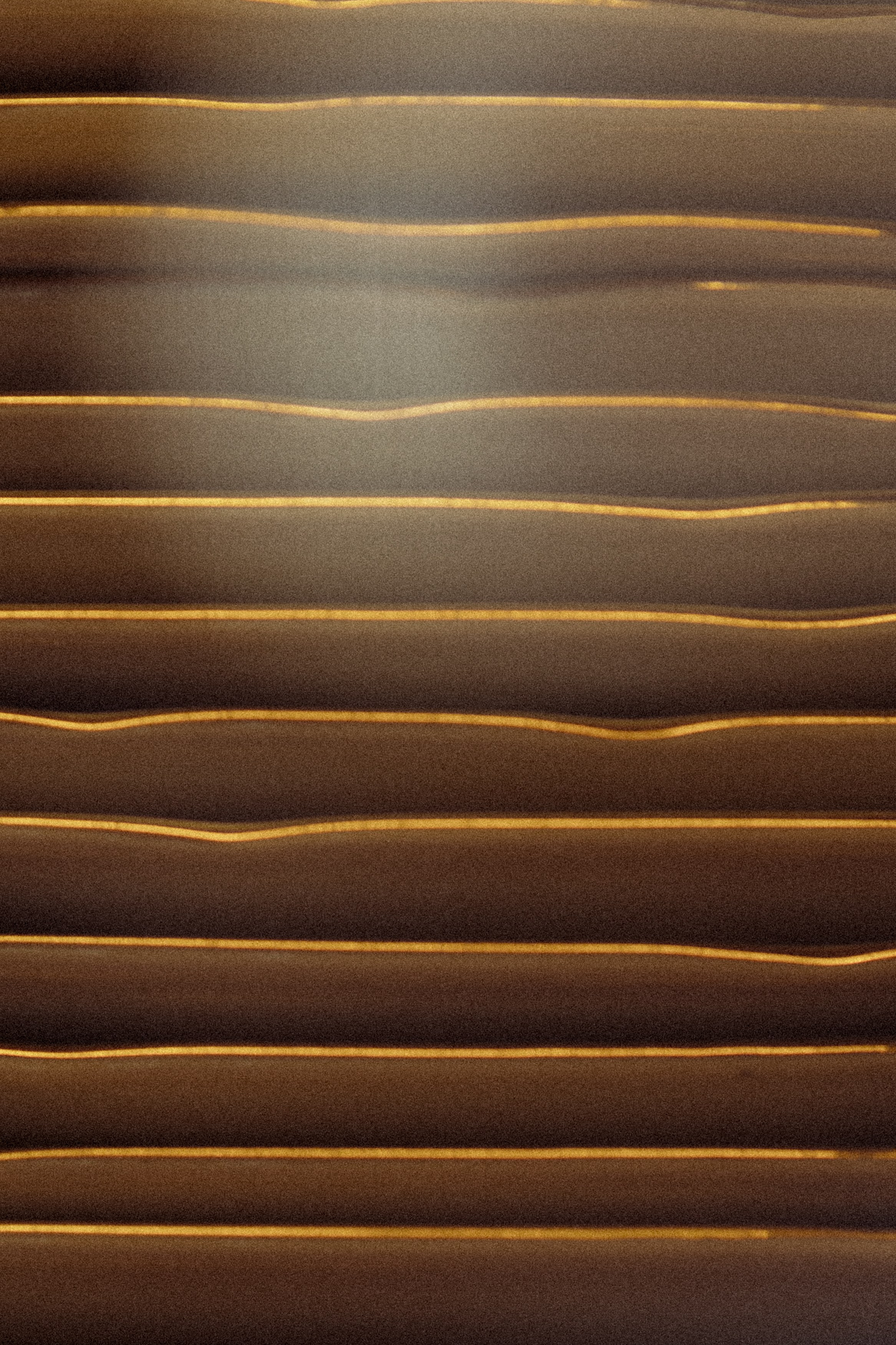 Айгуль. Фотограф в Челябинске Ольга Гурьянова