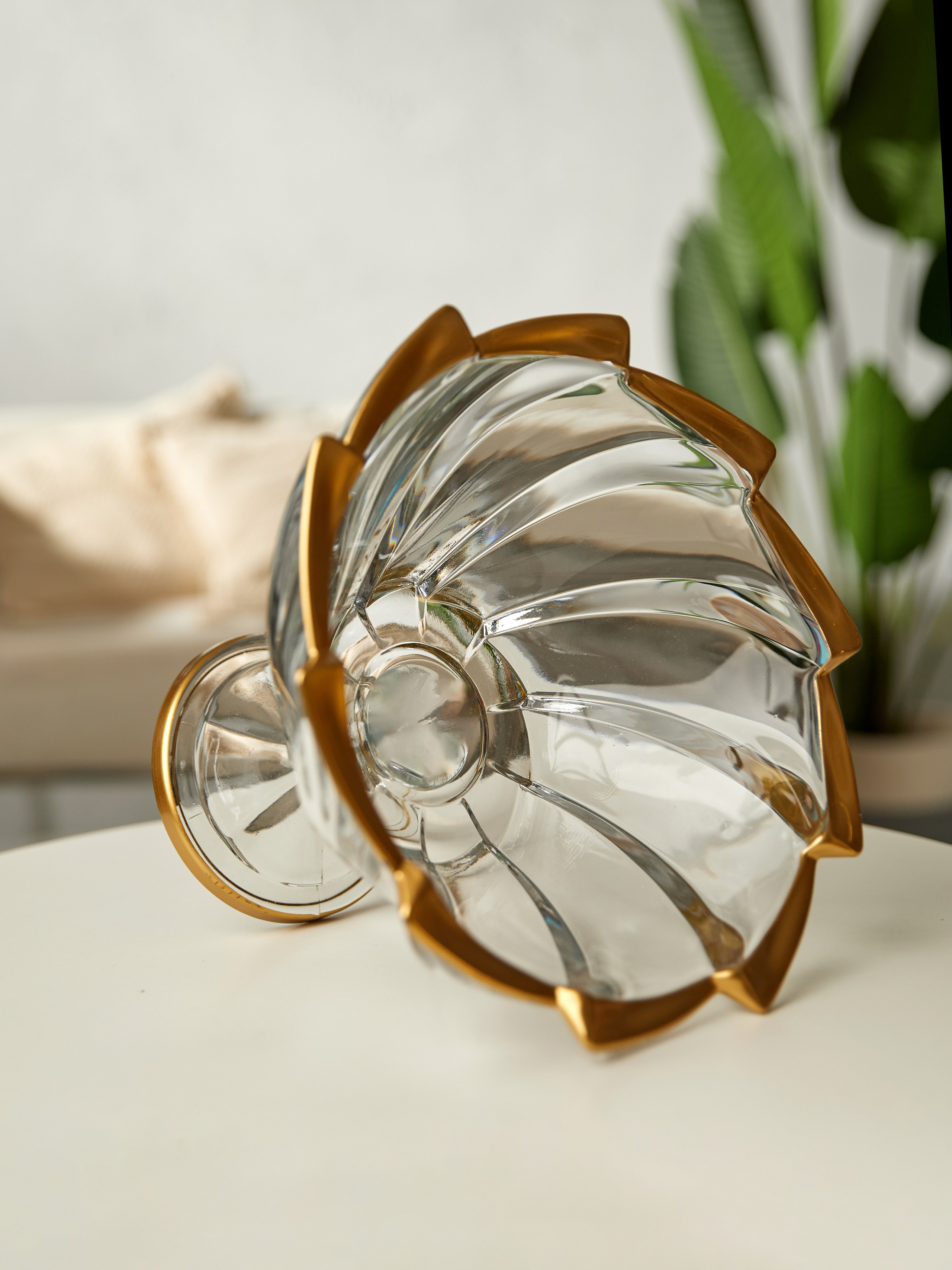 Посуда. Фотограф