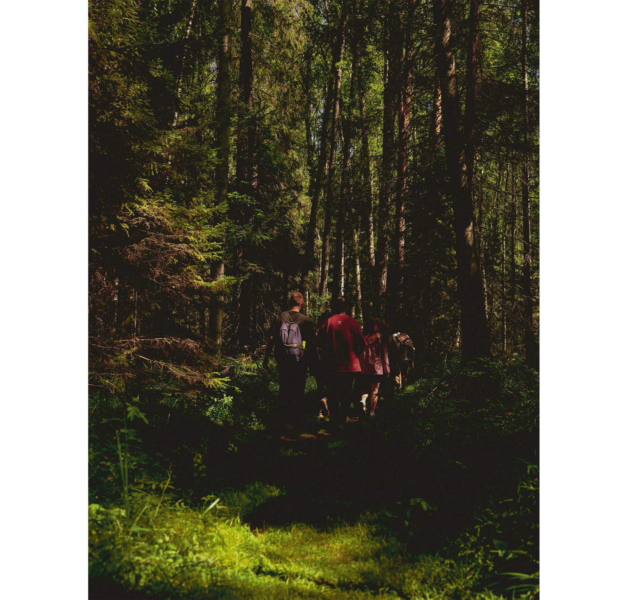 Summer hike. Фотограф/дизайнер в Екатеринбурге Хитрый Дмитрий