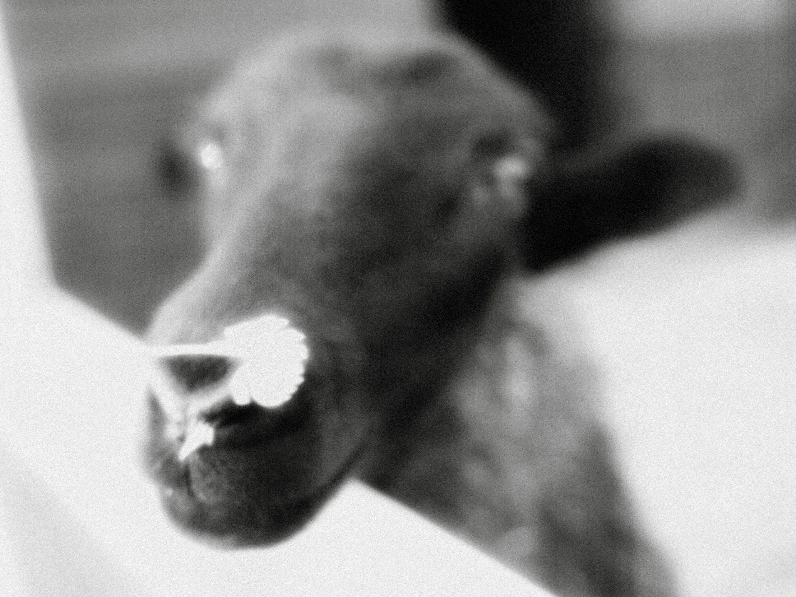 ✖‿📷 Фотограф| Москва