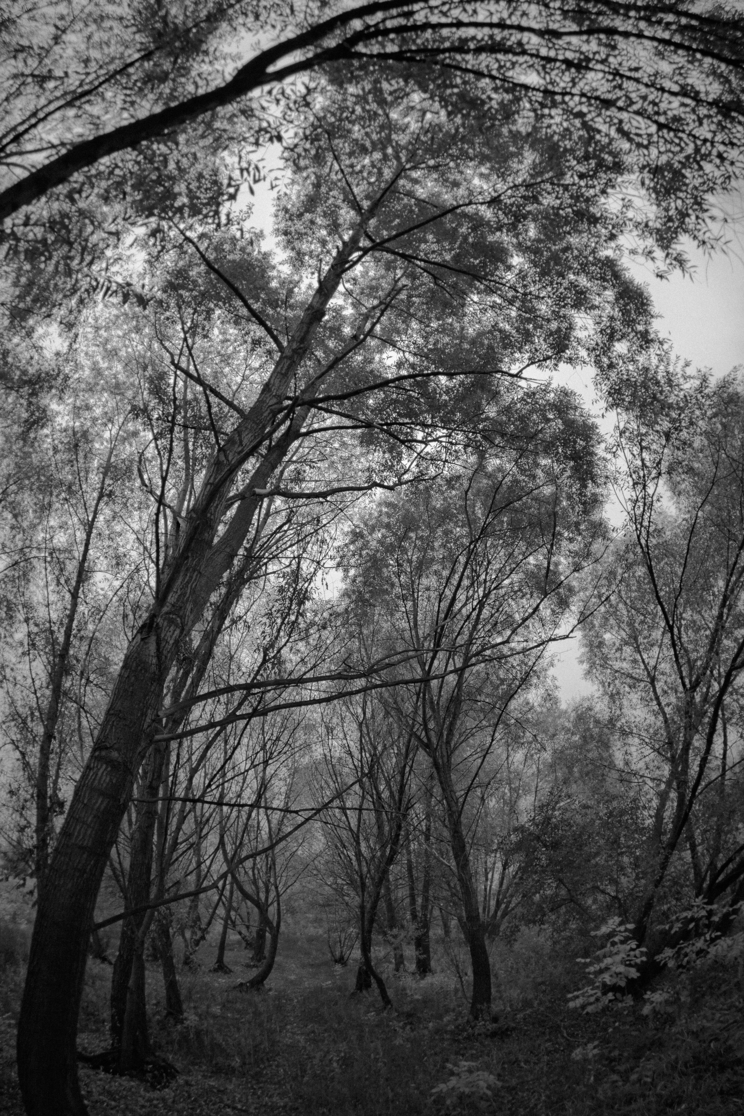 Осенняя серия. Фотограф в Москве. Екатерина Митина