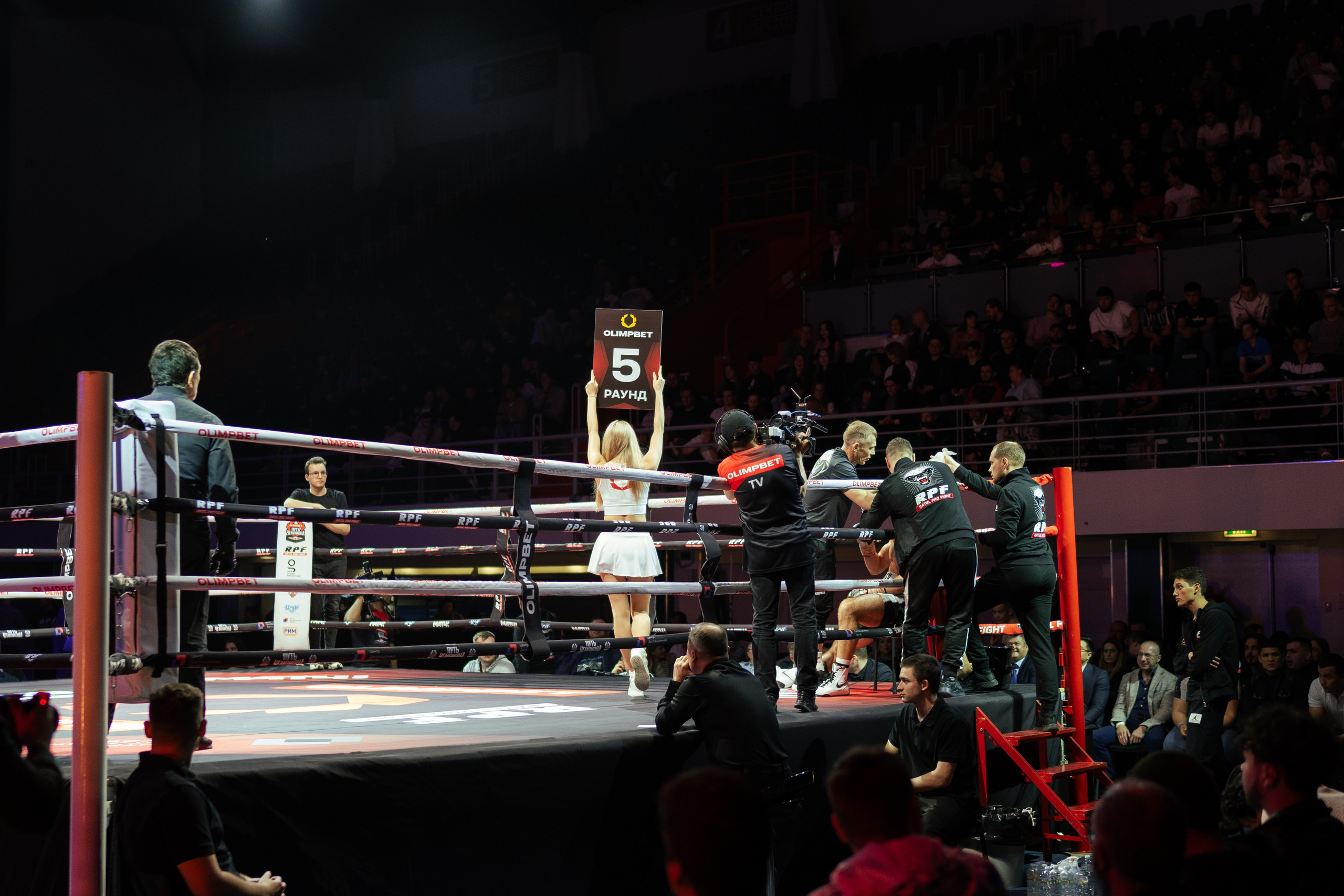 Бокс. Фотограф в СПБ Алмаз Камаев