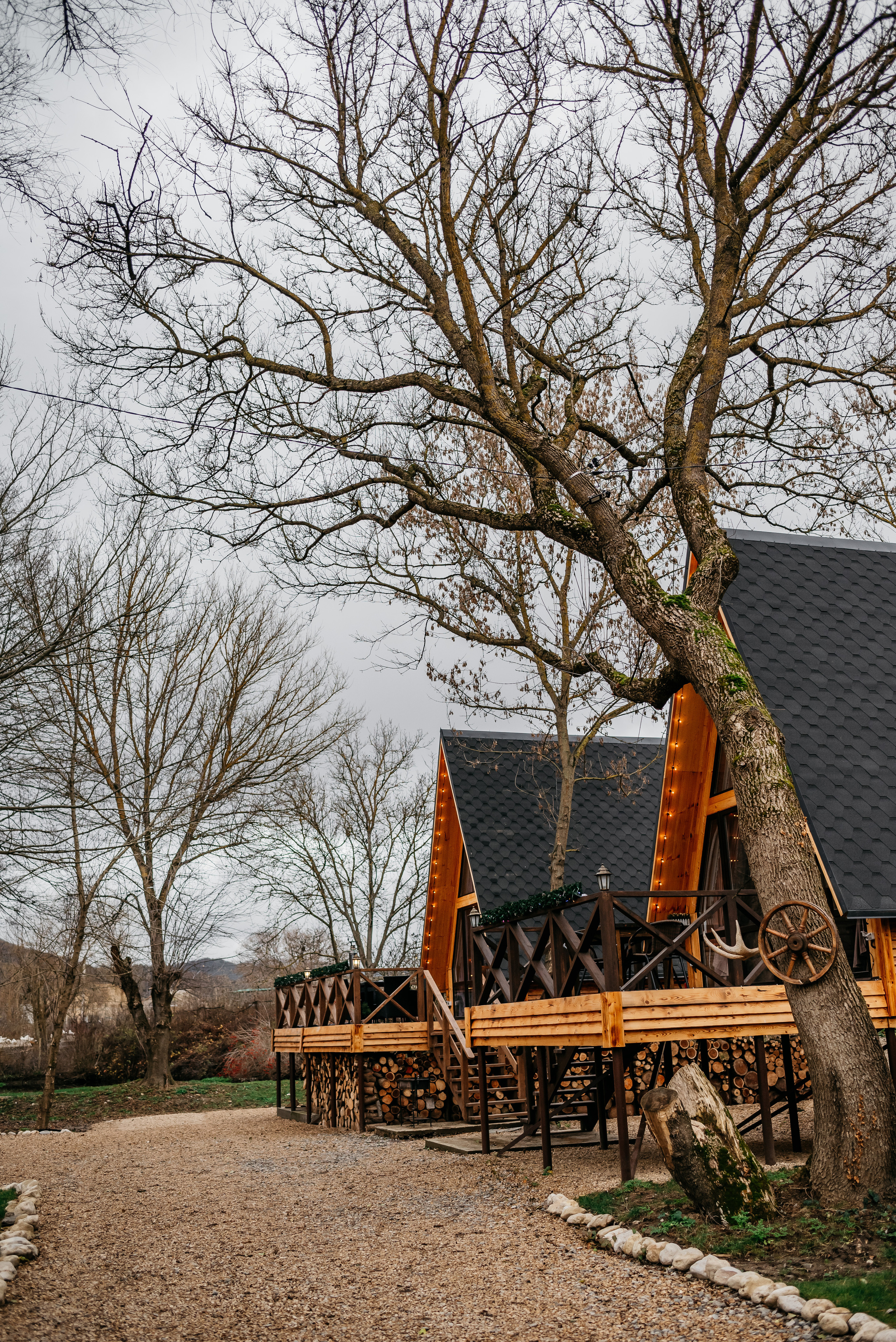 Семейная история под Новый год. Свадебный фотограф Анна Хочева
