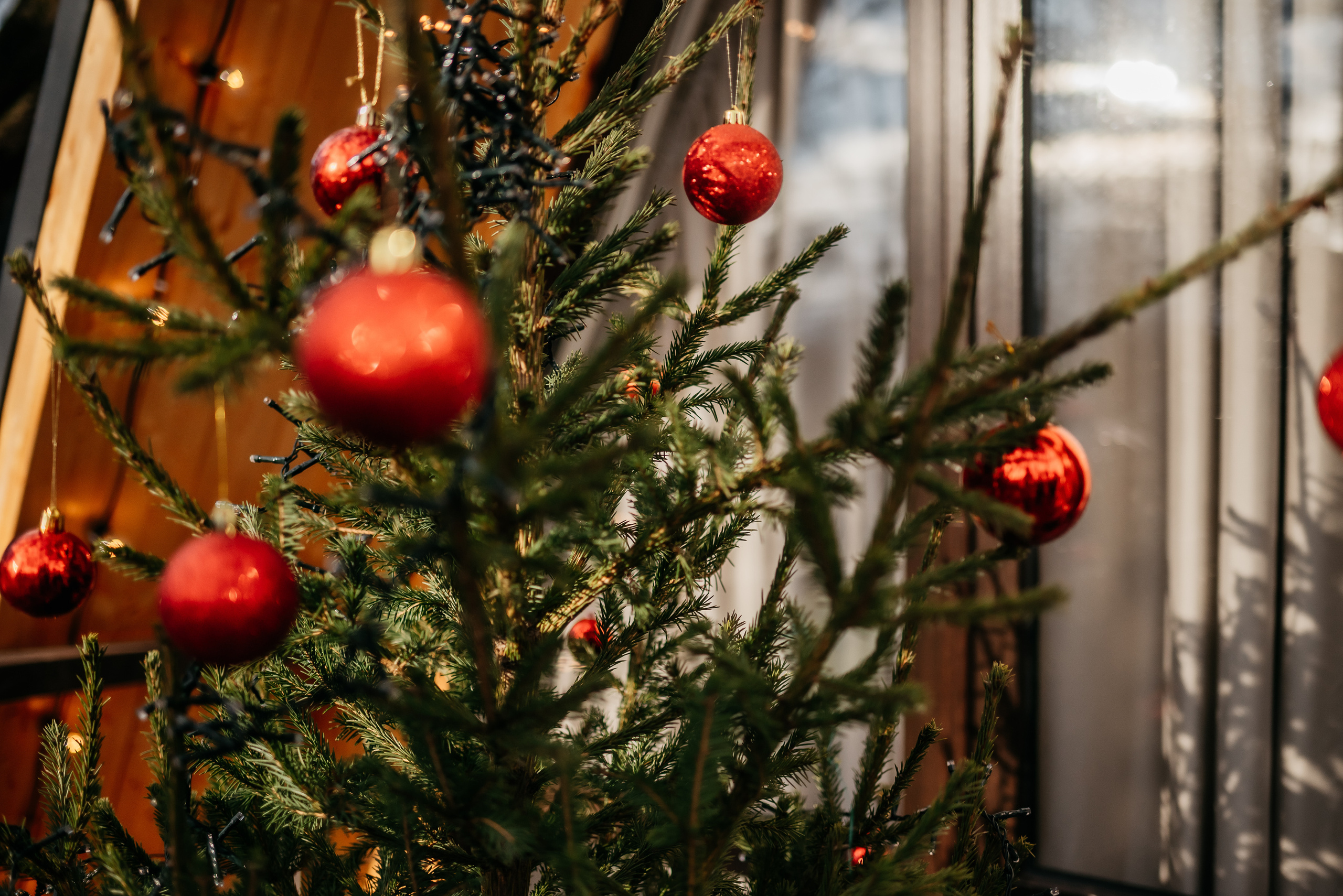 Семейная история под Новый год. Свадебный фотограф Анна Хочева