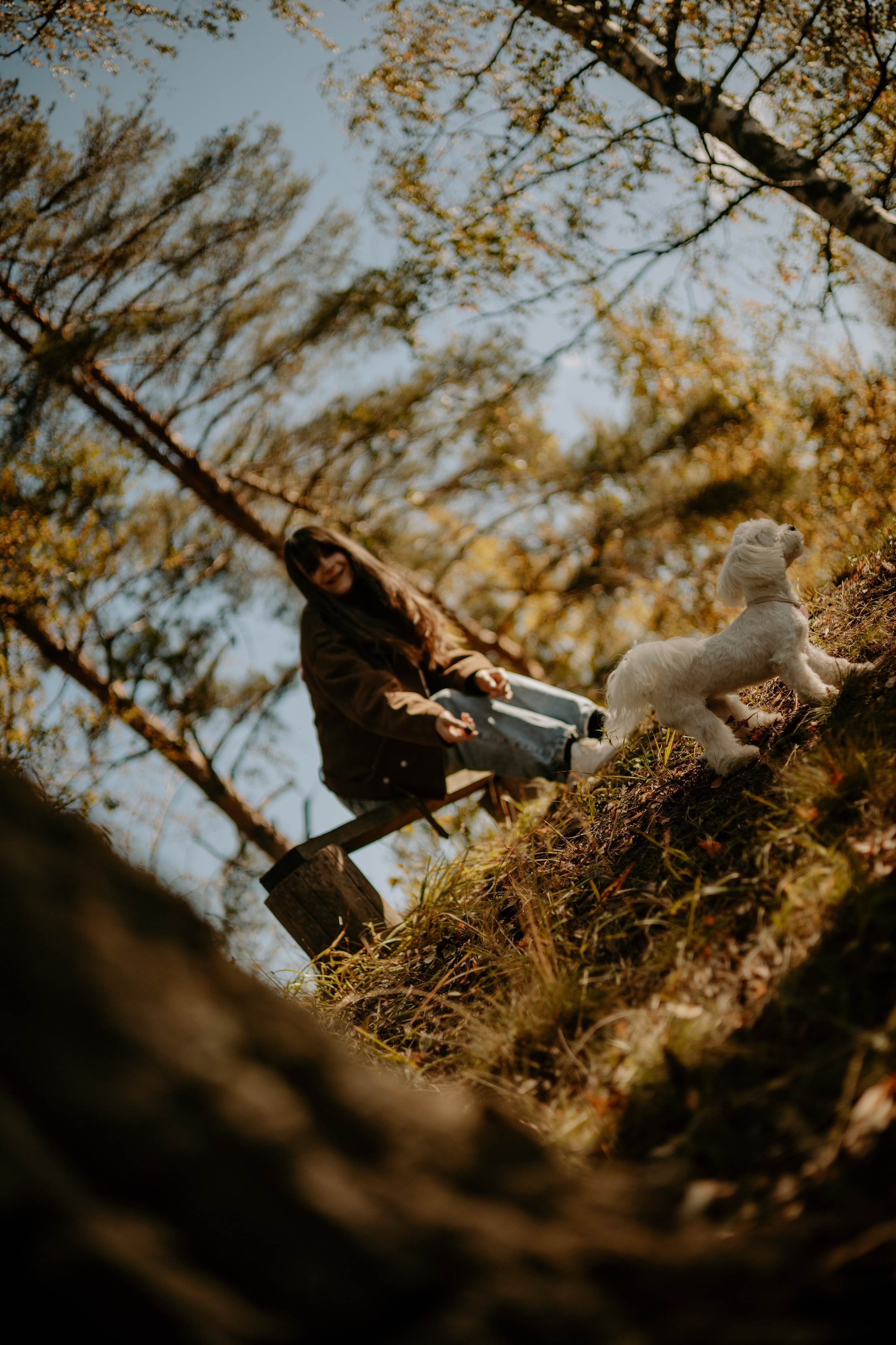 Любовь & Белла. Фотограф — анималист •love-story•|Санкт-Петербург