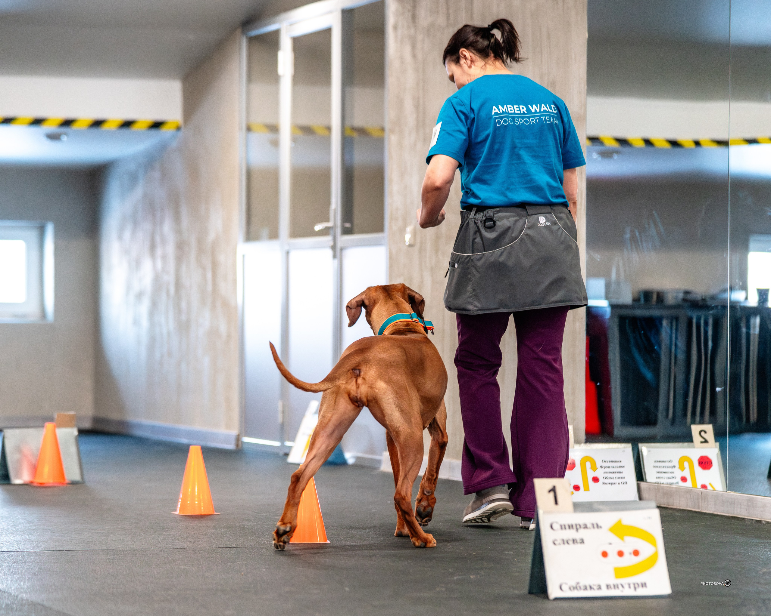 ТЫ И Я (соревнования по ралли-обидиенс). Фотограф-анималист, семейный фотограф в Москве и Подмосковье. Фотосъёмка кинологических дисциплин