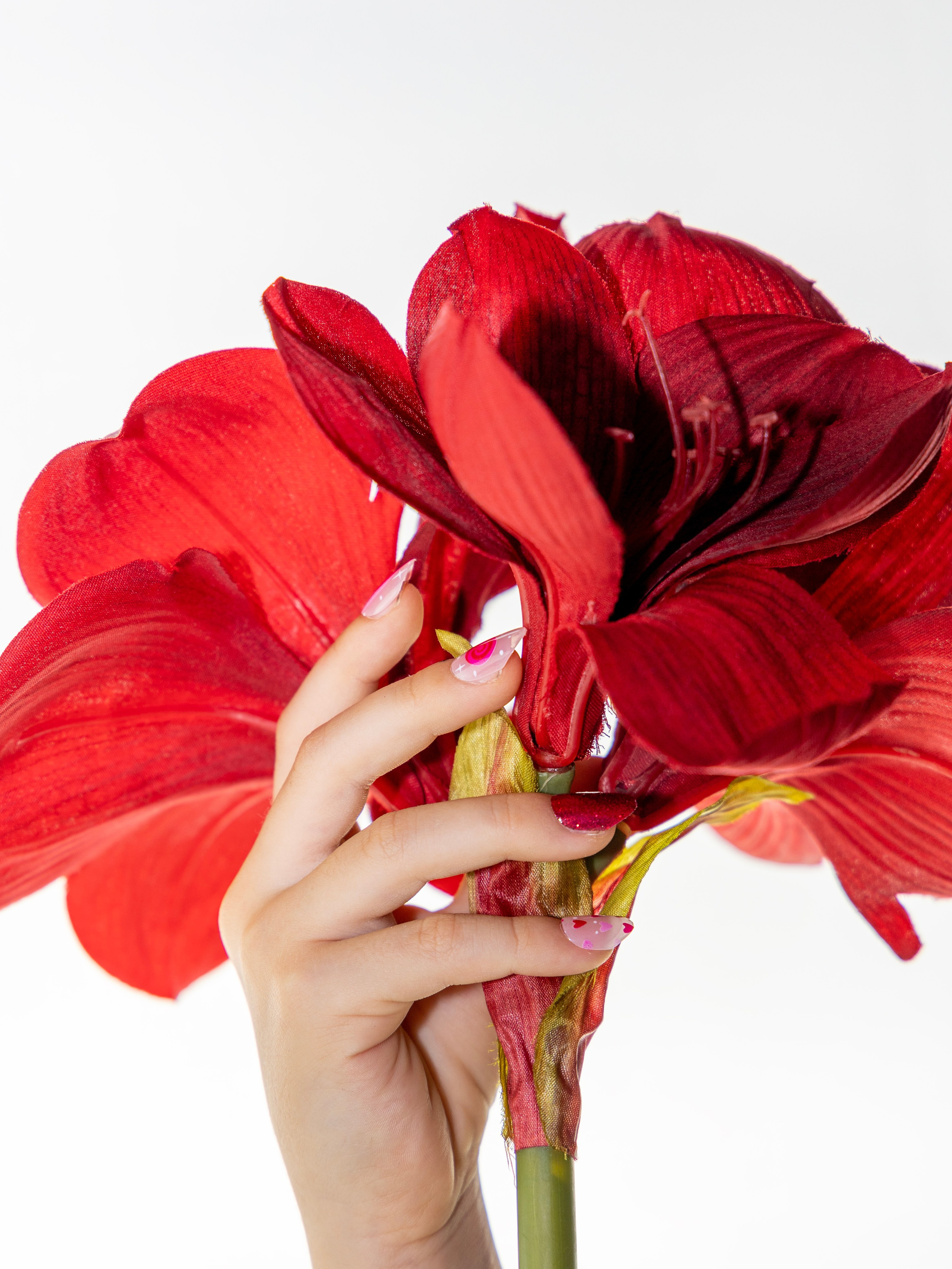 Фотограф Татьяна Марсуверских г. Жуковский, Москва и М о. Репортажные съёмки, фотосессии, съёмки для маркетплейс,накладные ногти и маникюр. Фотограф для маркетплейсов, фотоуслуги в Жуковском Татьяна Марсуверских