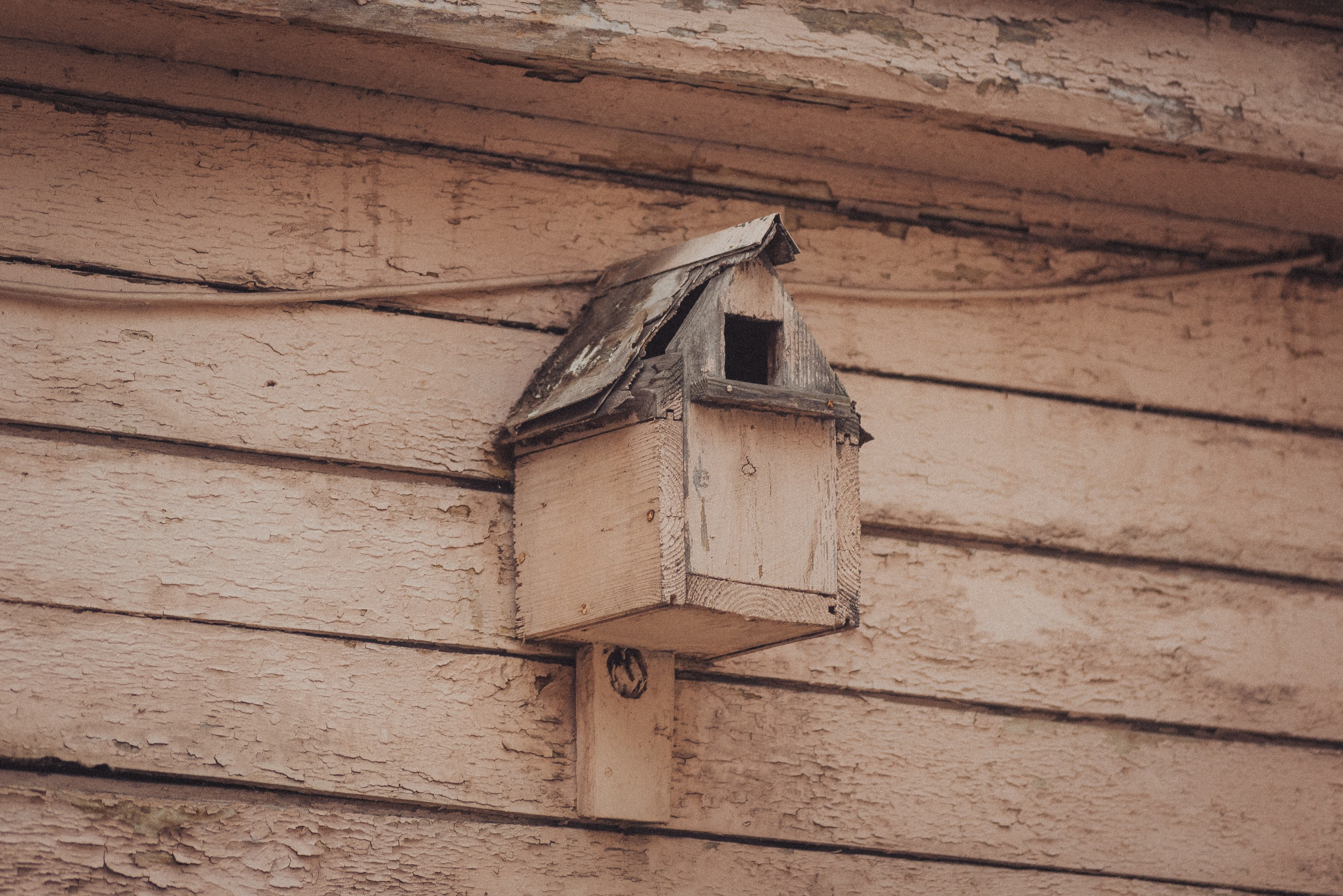 Проект #улицыгорода. Ярославль, улица Волкова. Документальный фотограф Илья Тихановский