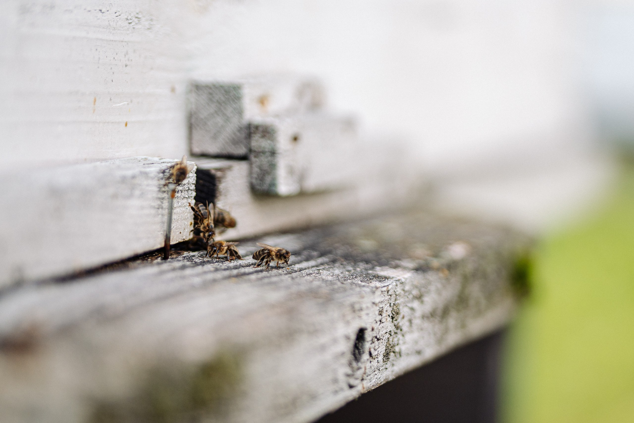 Сюжет № 8|Дмитрий Смирнов