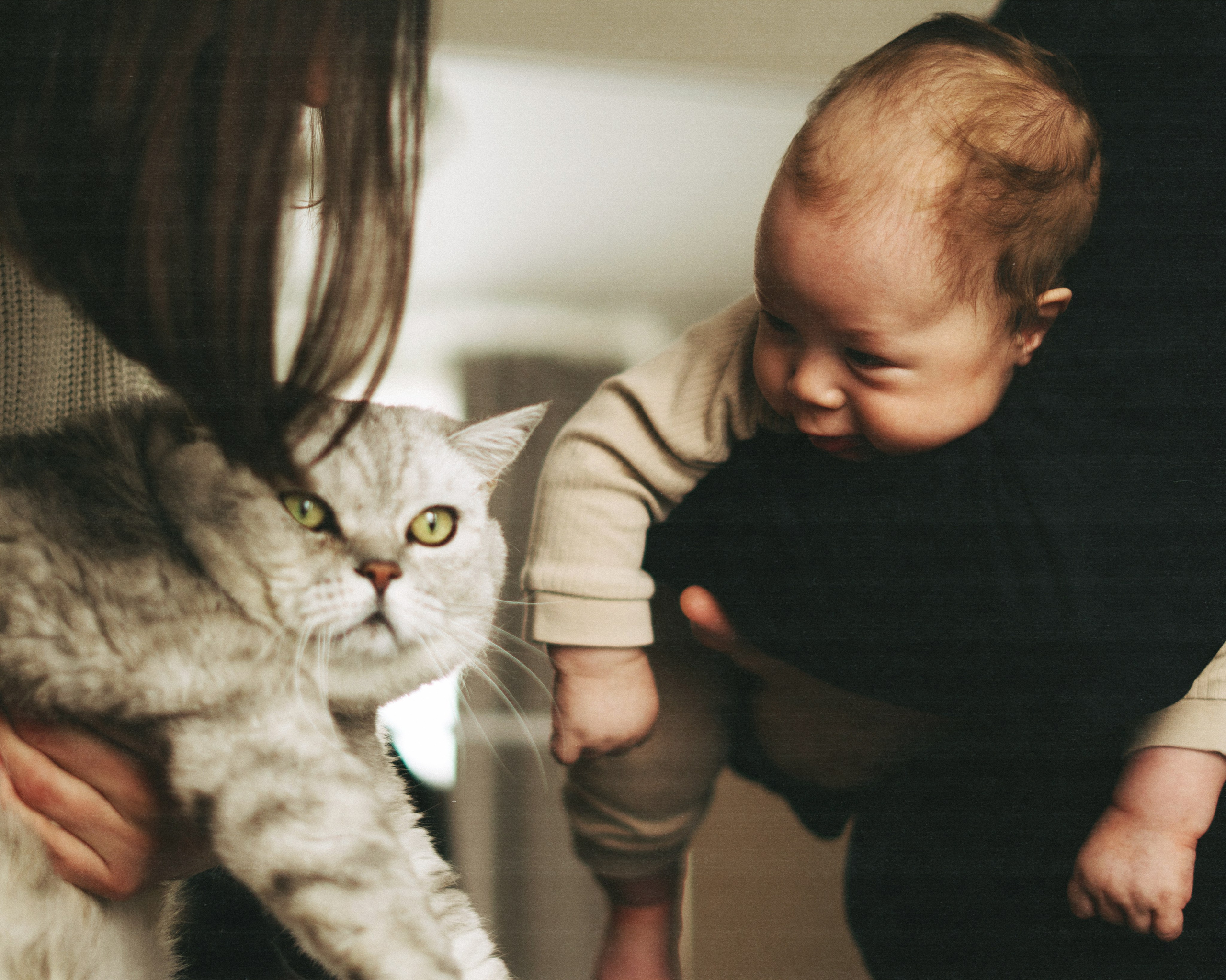 Fedya. SHILOVA PHOTO. Шилова Екатерина. Фотограф. Москва