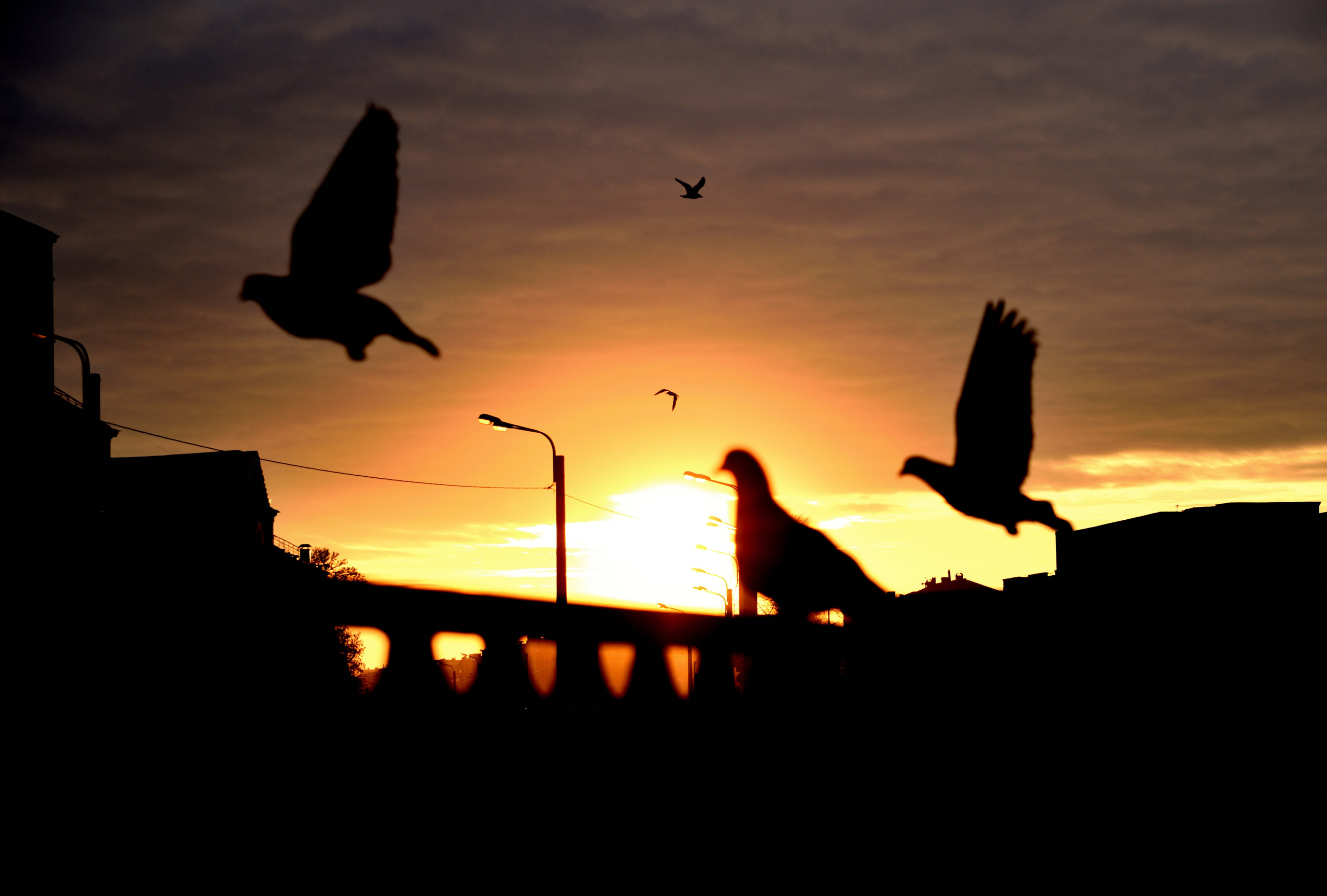 Портретный фотограф Санкт-Петербург Владимир Веселов