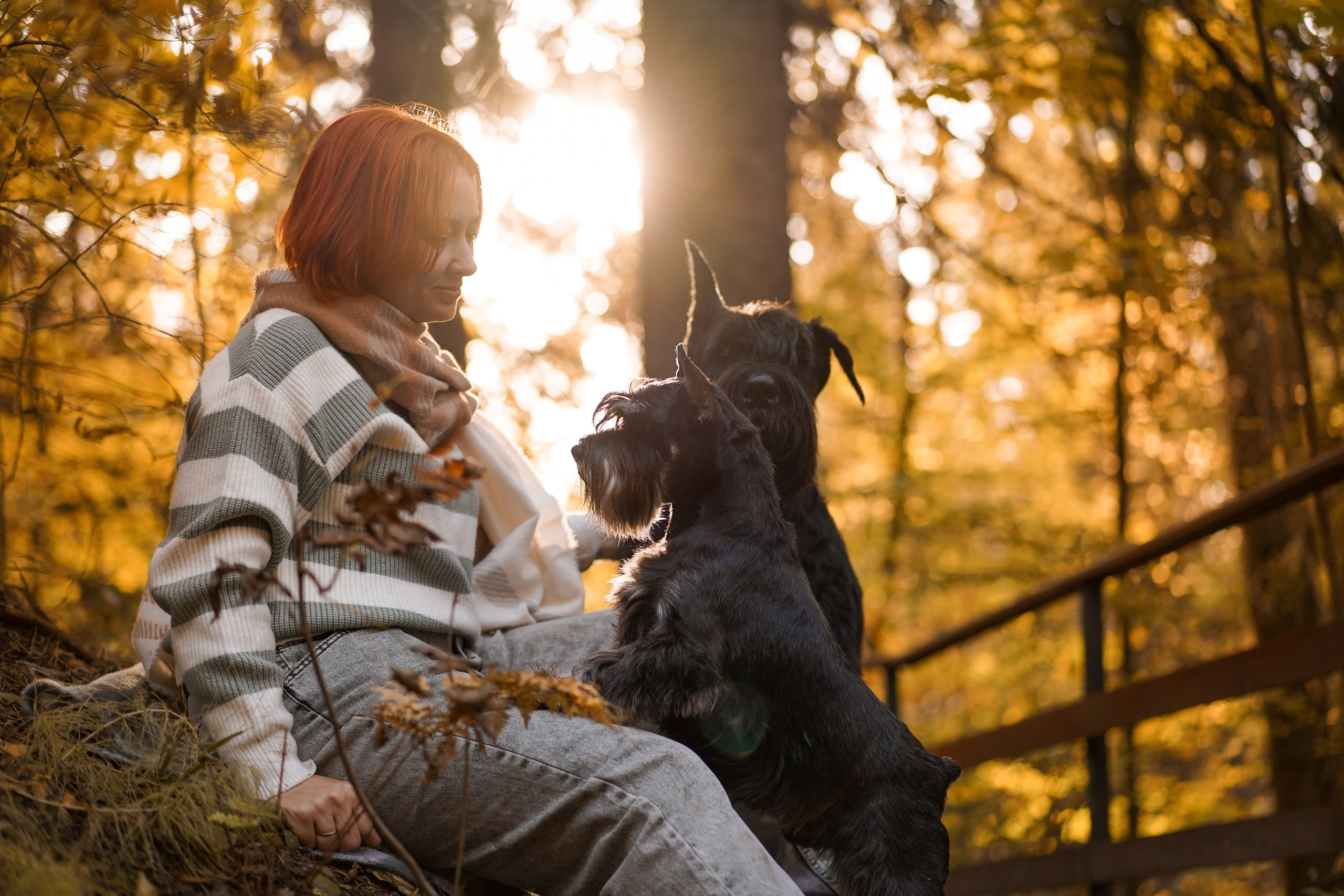 Оля Миша и шнауцеры. Фотограф-анималист в Санкт-Петербурге Яна Мартынова